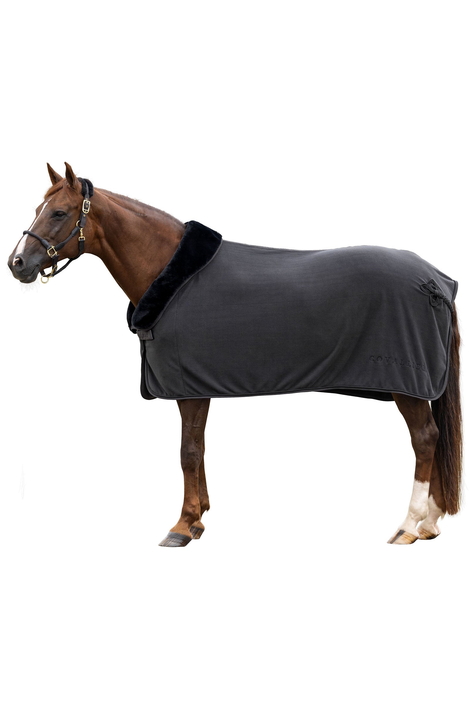 Covalliero Anniversary Cooler Rug Horse Rugs