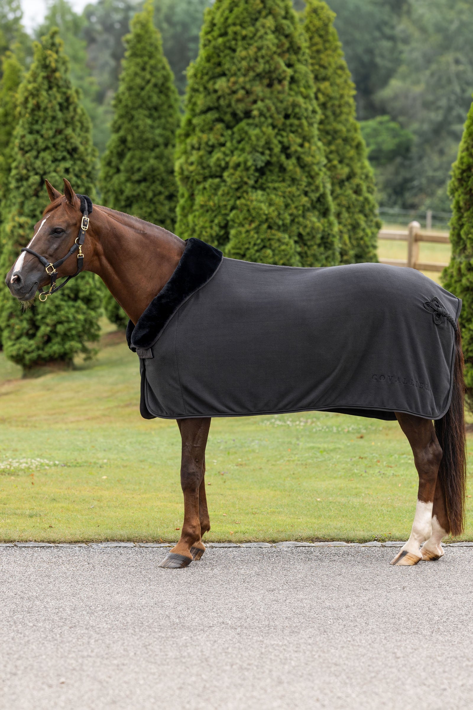 Covalliero Anniversary Cooler Rug Horse Rugs