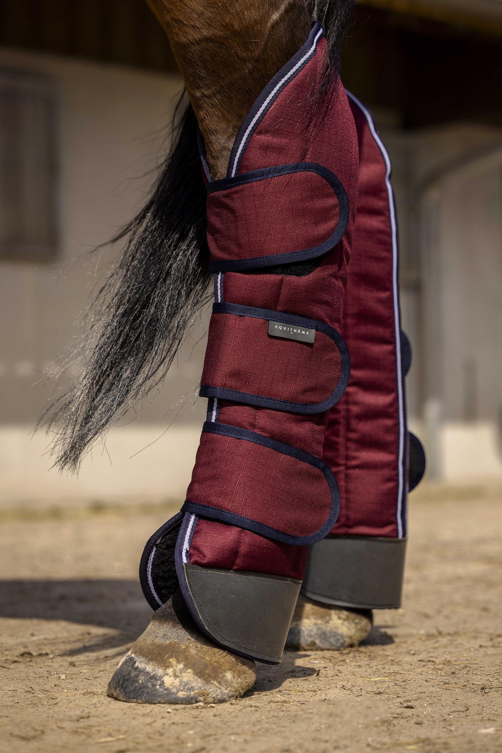 Equi Theme EQUITHÈME TYREX 1200D paratendini da trasporto rinforzati Leg & Hoof Protection