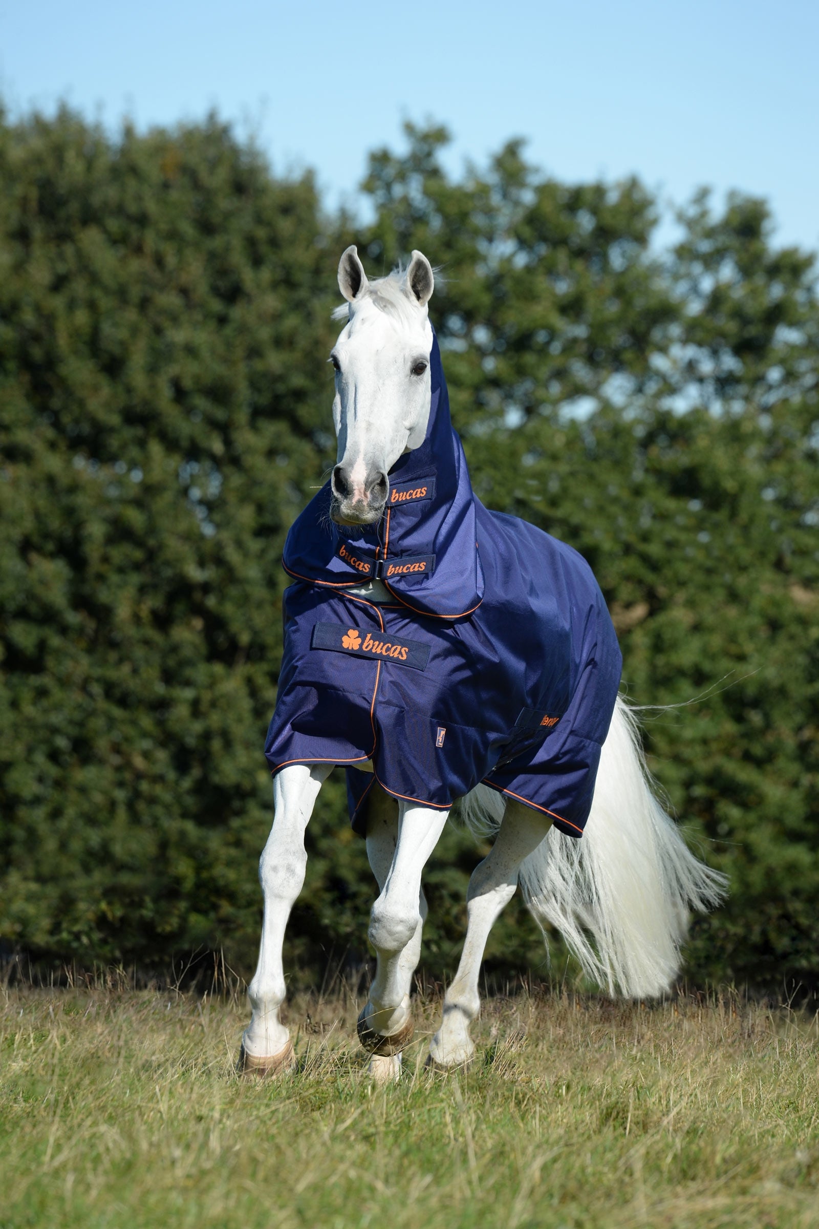 Bucas Therapy Turnout Neck Horse Rugs