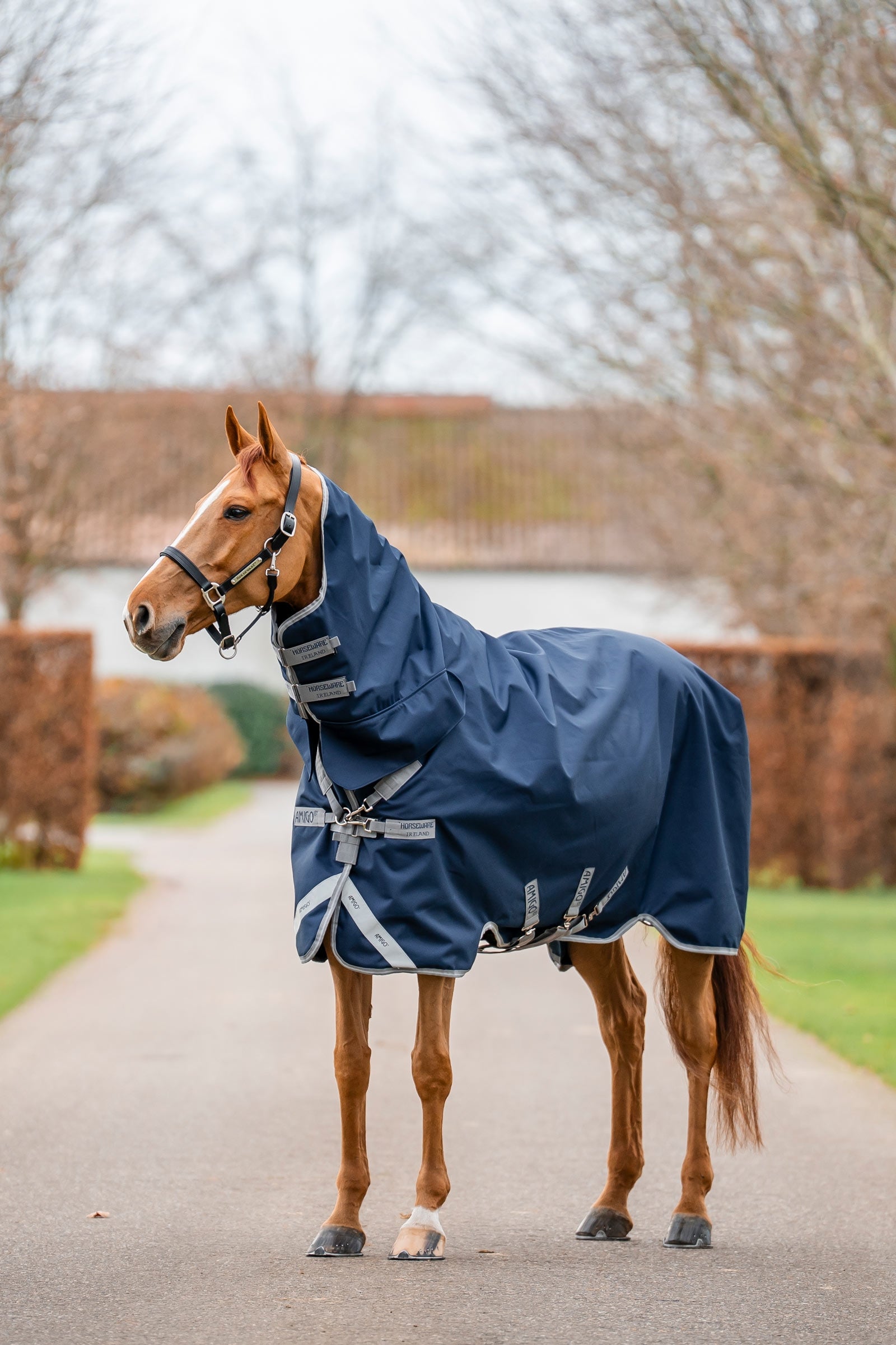 Horseware Amigo 1200D coperta turnout integrata 250 g Coperte per cavalli