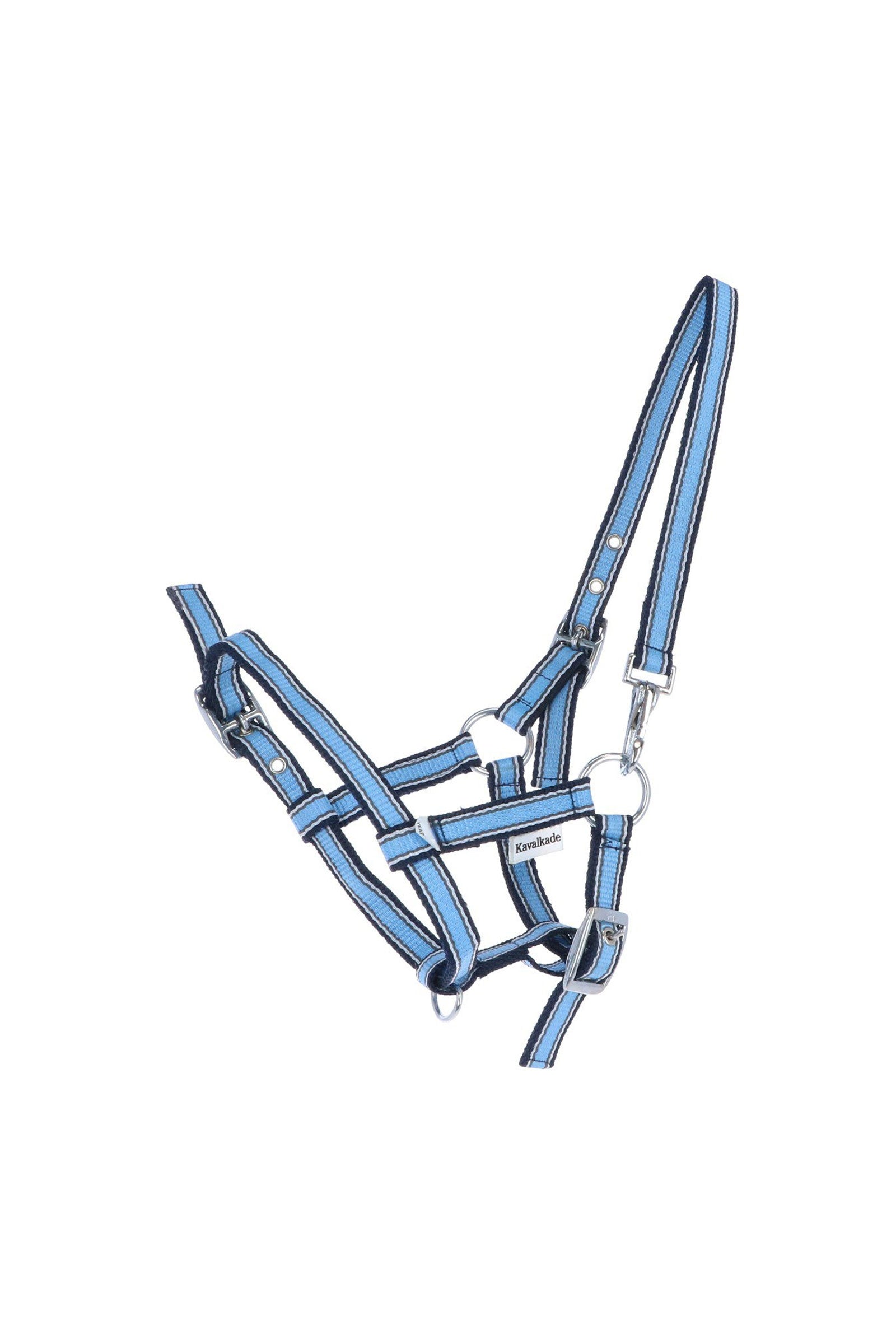 Kavalkade Foal & Yearling Halter Cavezze e guinsagli