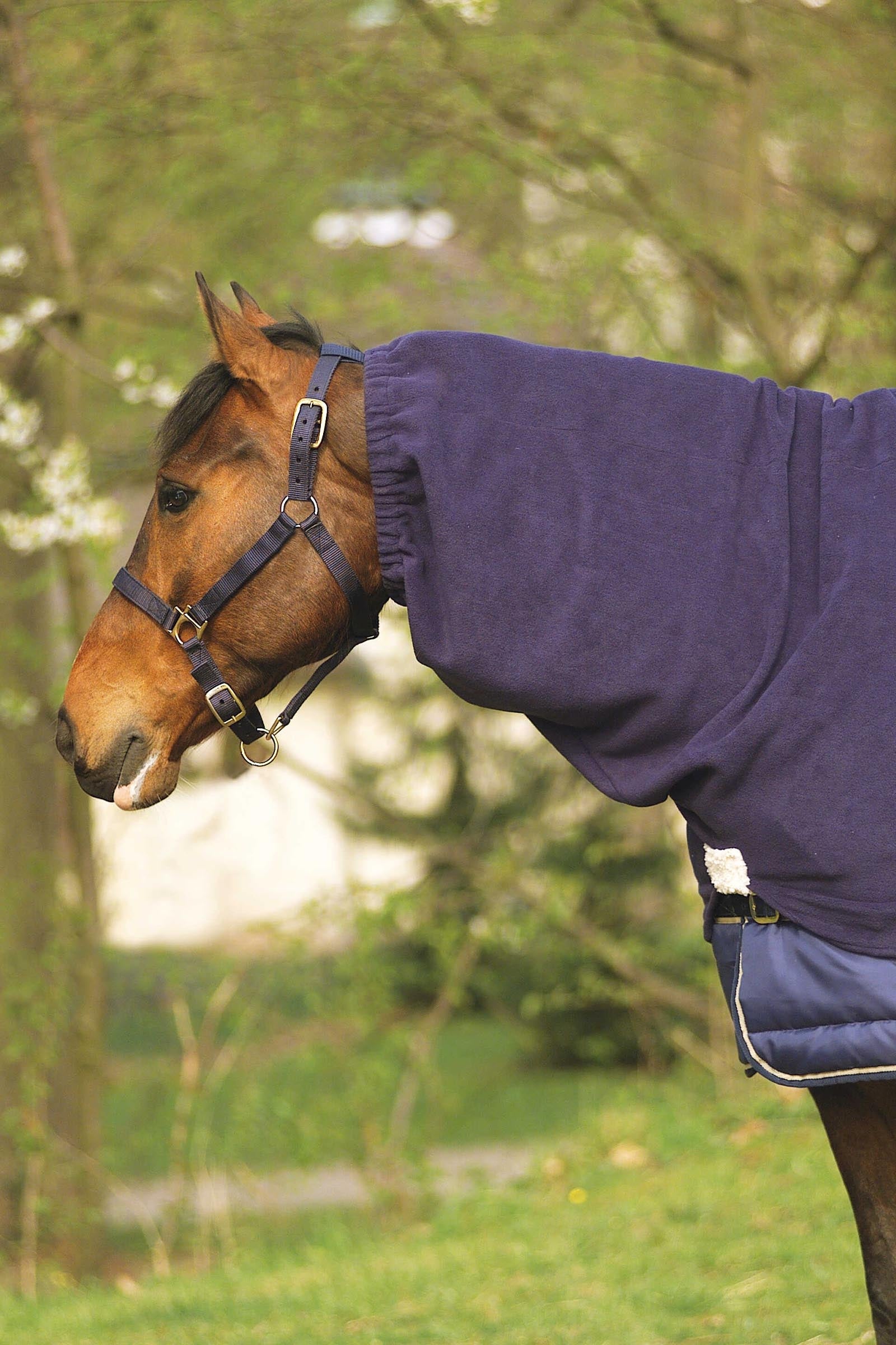 EQUITHÈME Polar Fleece copricollo Coperte per cavalli