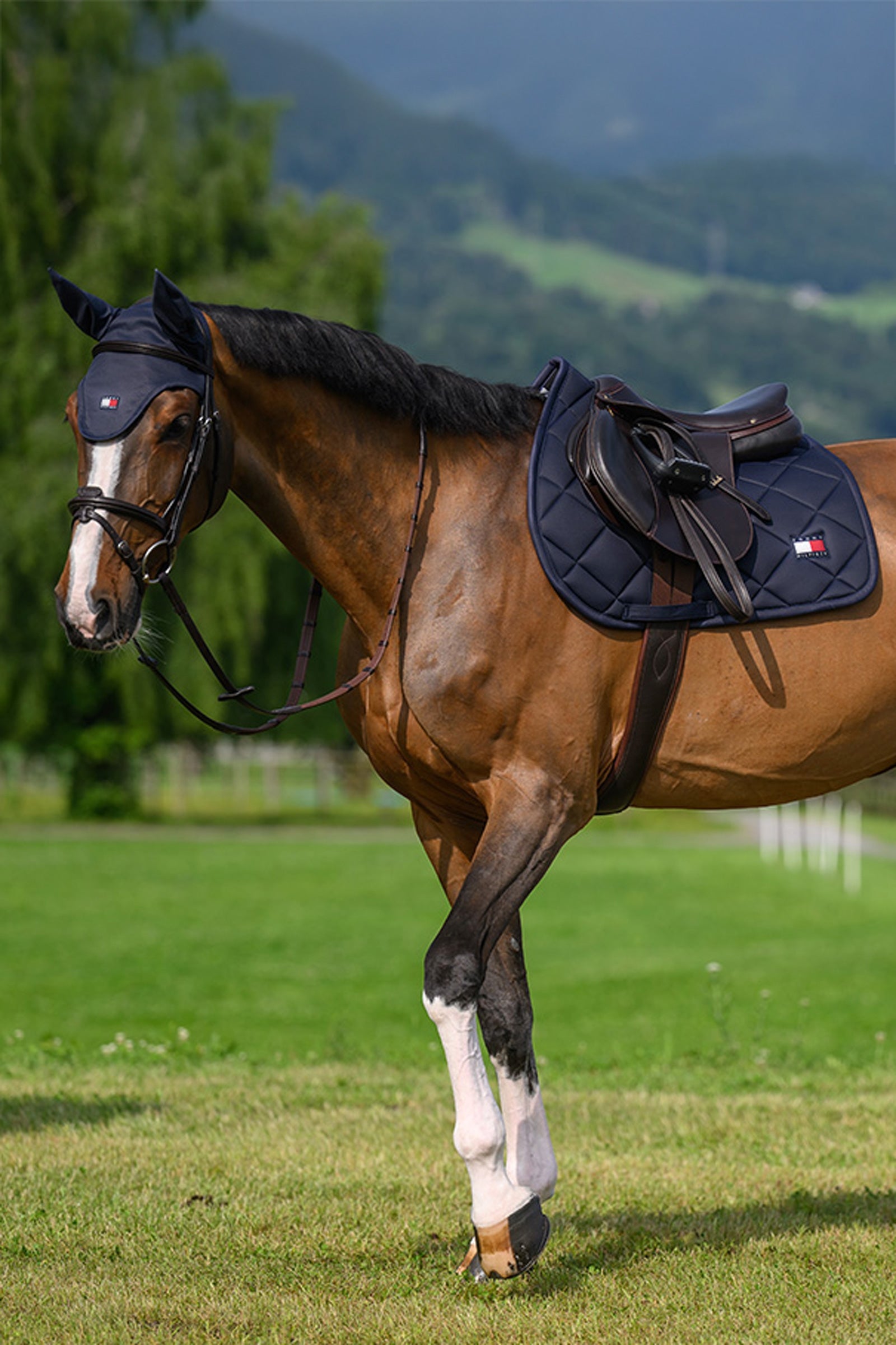Tommy Hilfiger Equestrian Columbia Jumping Saddle Pad Saddle Pads