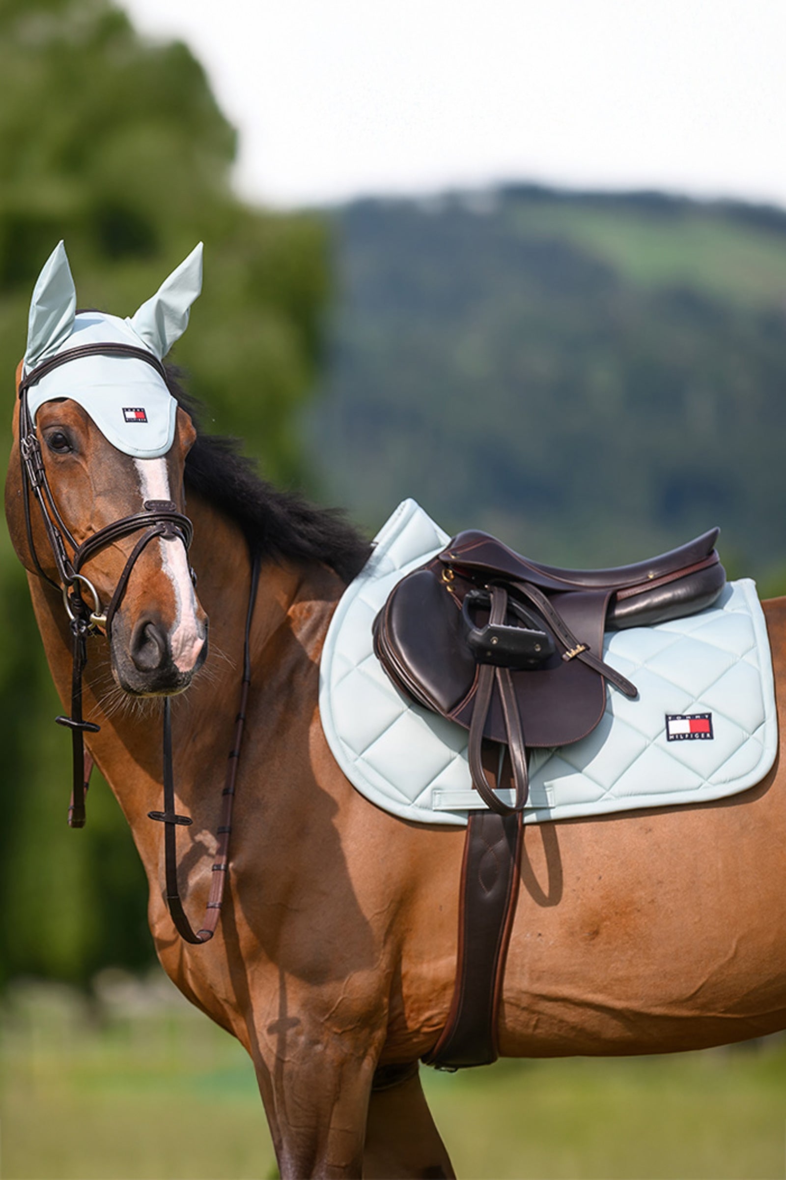 Tommy Hilfiger Equestrian Columbia Jumping Saddle Pad Saddle Pads