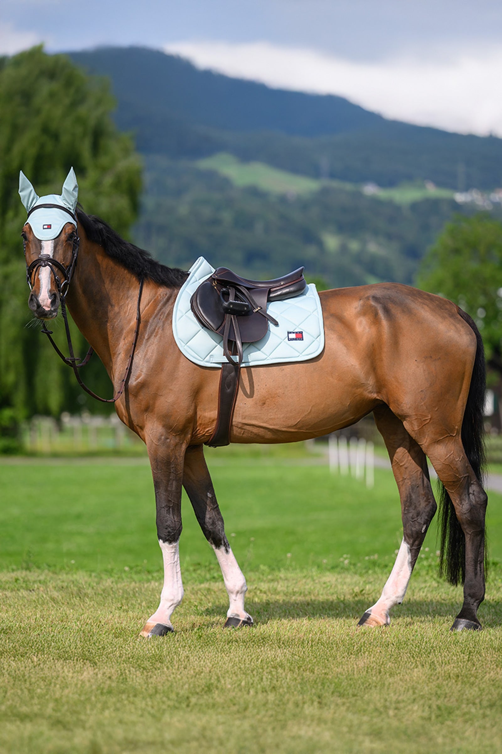 Tommy Hilfiger Equestrian Columbia Jumping Saddle Pad Saddle Pads