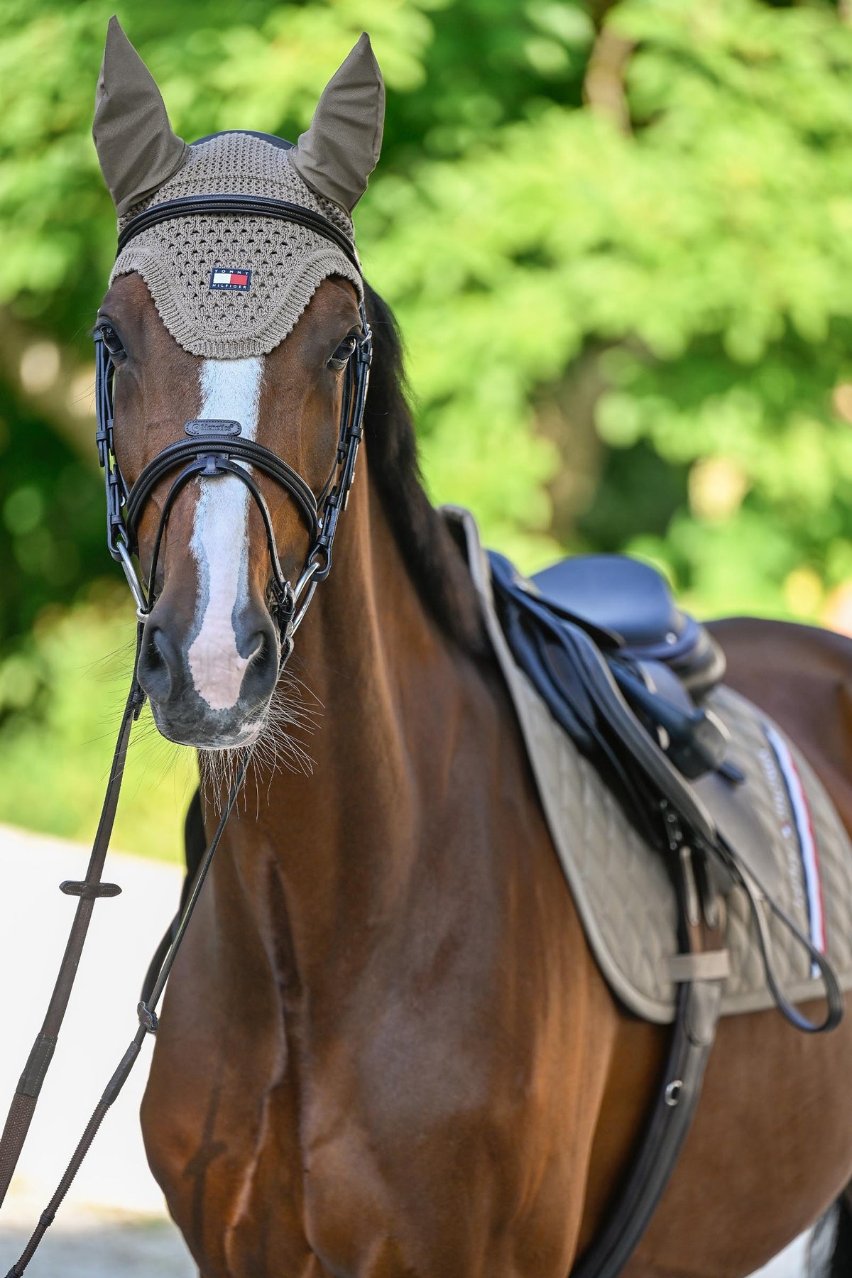 Tommy Hilfiger Equestrian Lexington Fly Hood Saddle Pads