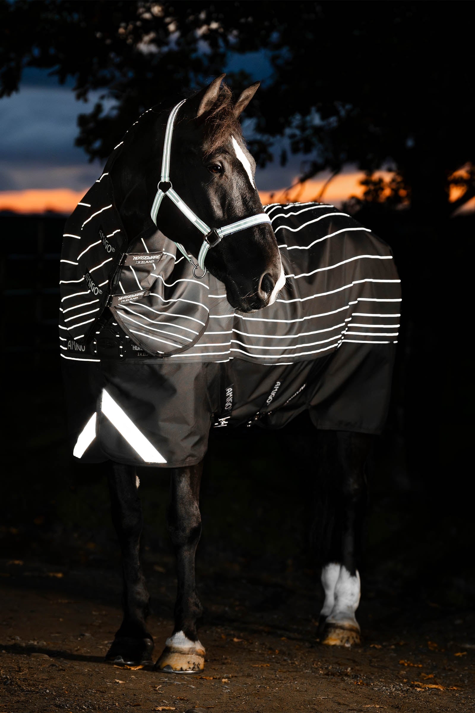 Horseware Amigo 1200D FieldSafe Reflectech Plus coperta turnout, 100 g Coperte per cavalli