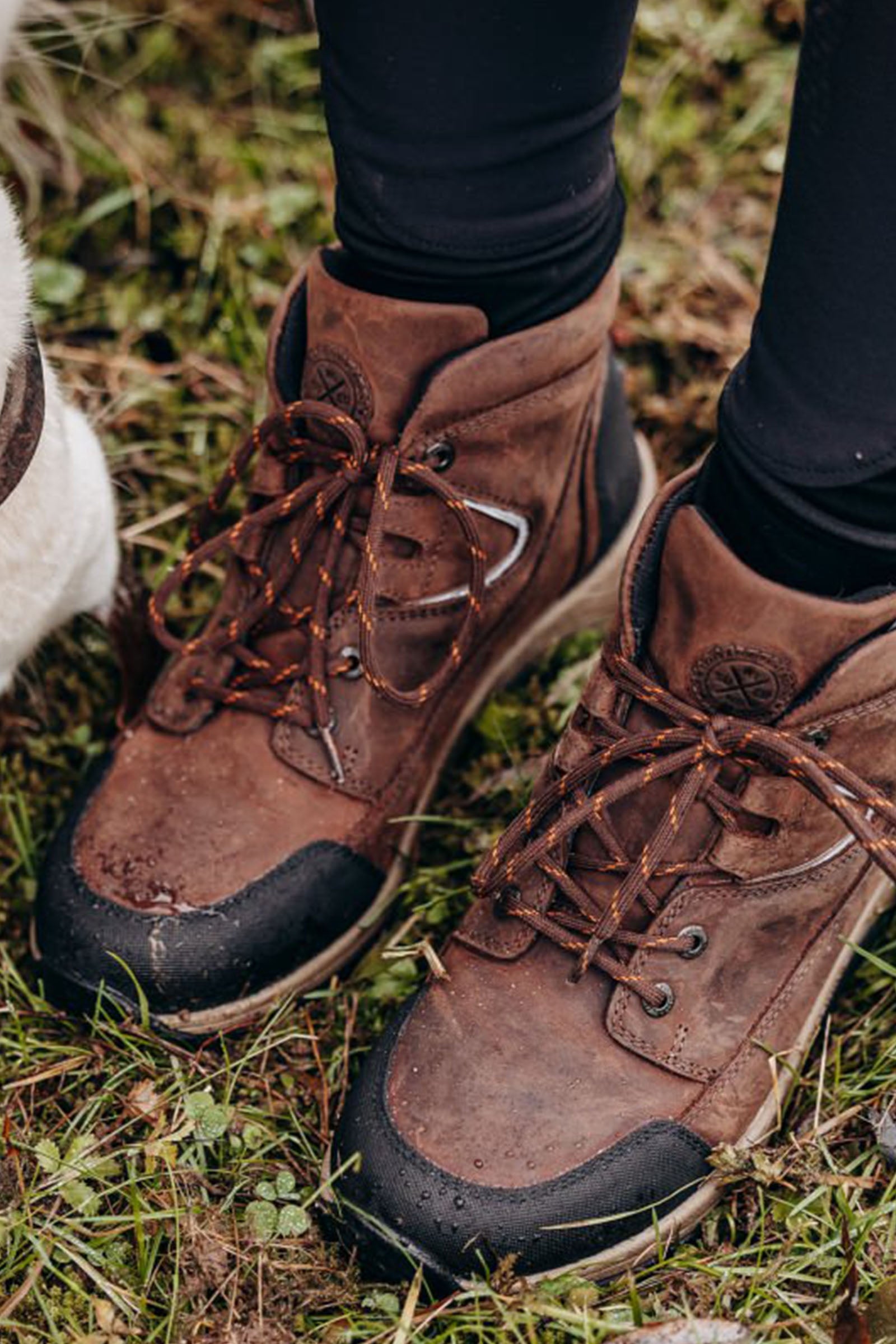 Suedwind Footwear Field Lace GripFTX Boots Riding Boots & Riding Shoes