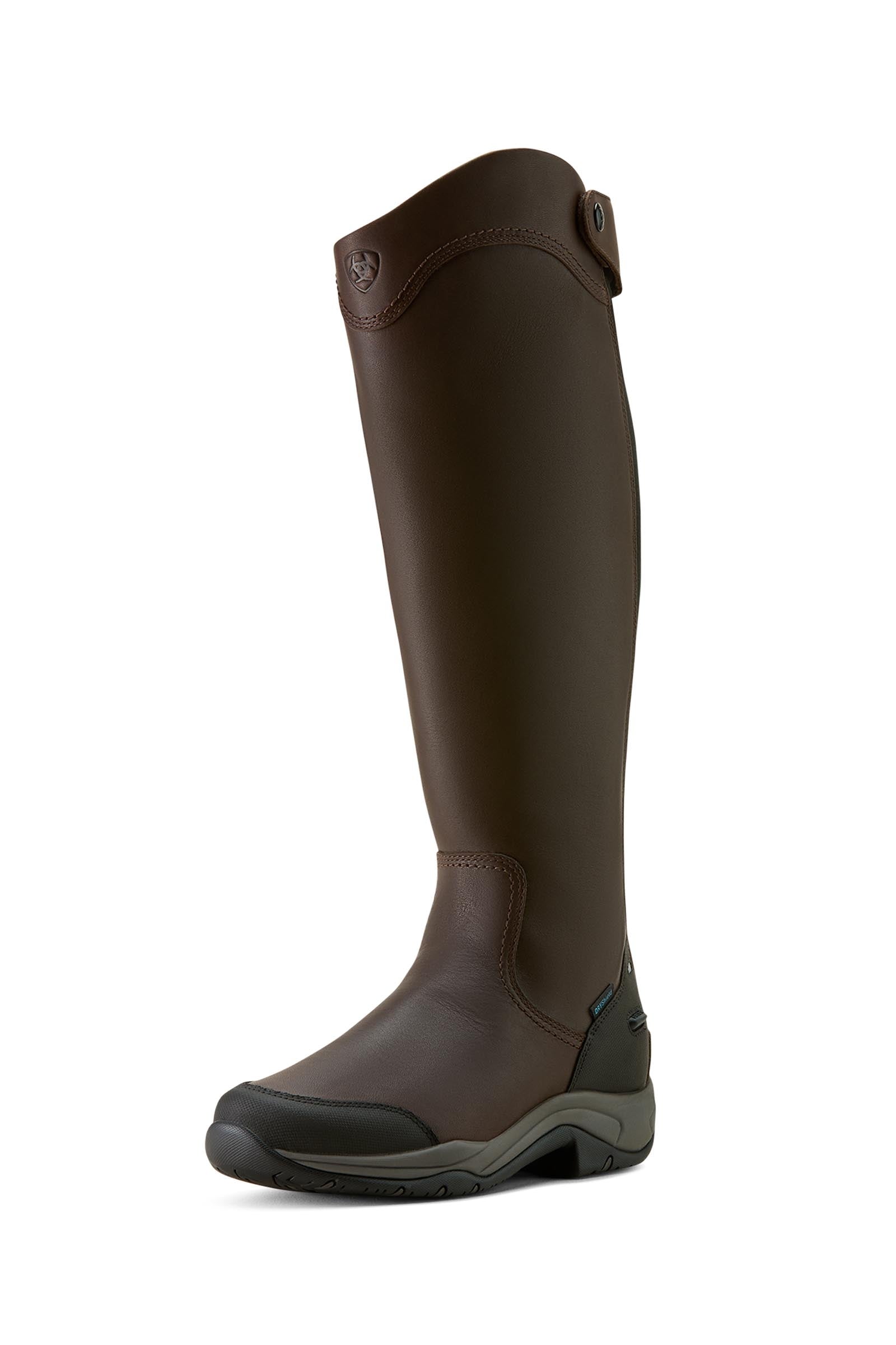 Ariat Telluride H2O stivali alti da donna Calzature