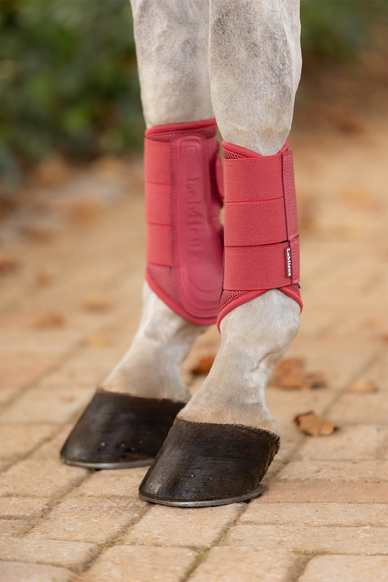 LeMieux Arika stinchiere in mesh Leg & Hoof Protection