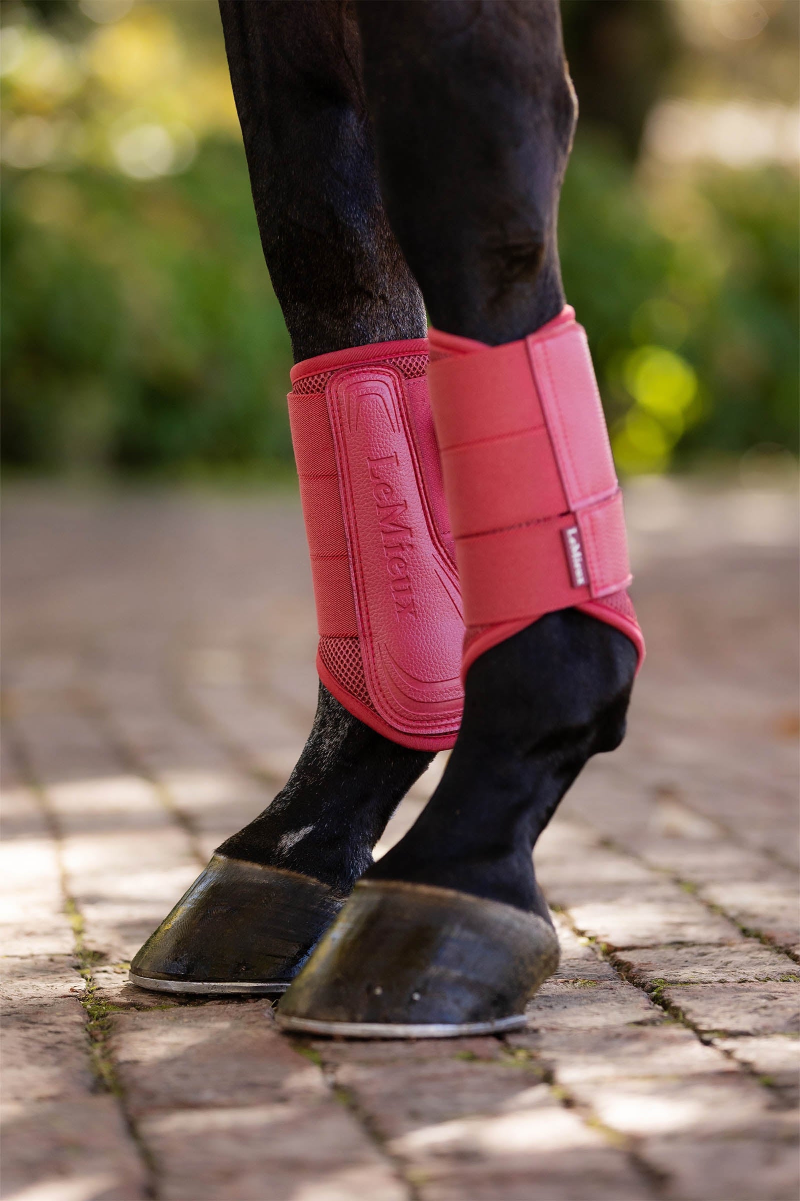 LeMieux Arika Mesh Brushing Boots Leg & Hoof Protection