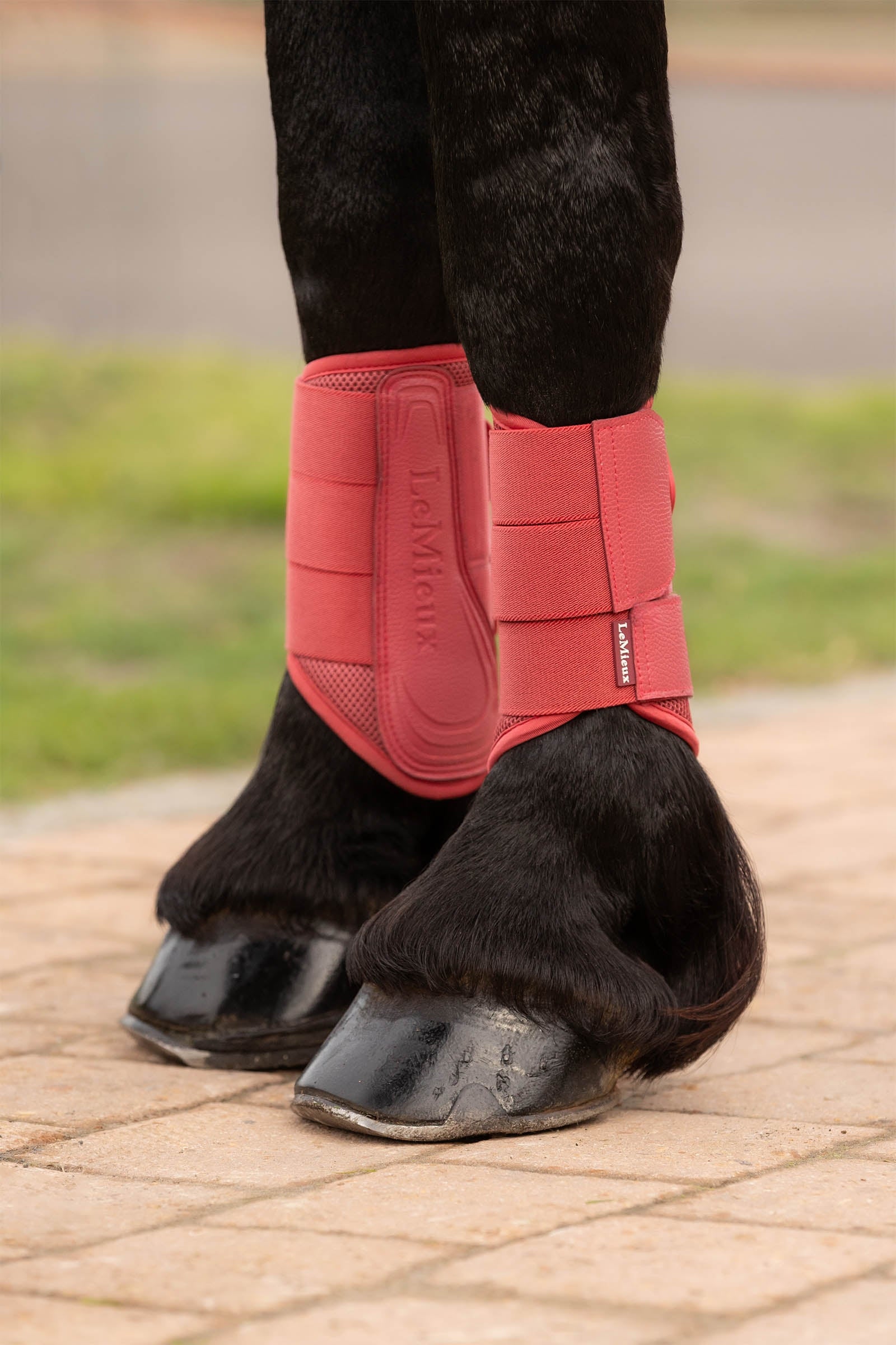 LeMieux Arika Mesh Brushing Boots Leg Protection & Hoof Protection for Horses