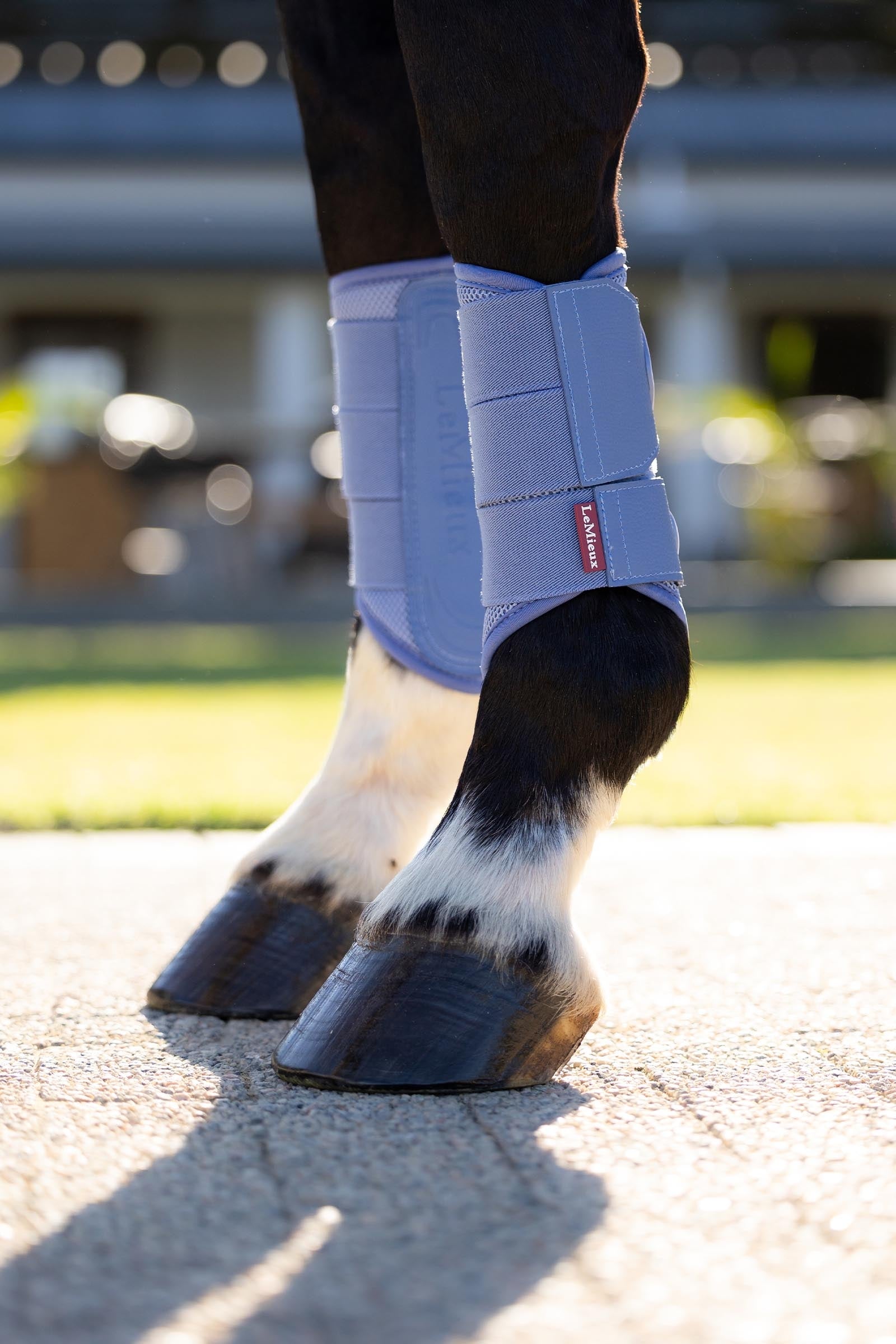LeMieux Arika Mesh Brushing Boots Leg Protection & Hoof Protection for Horses