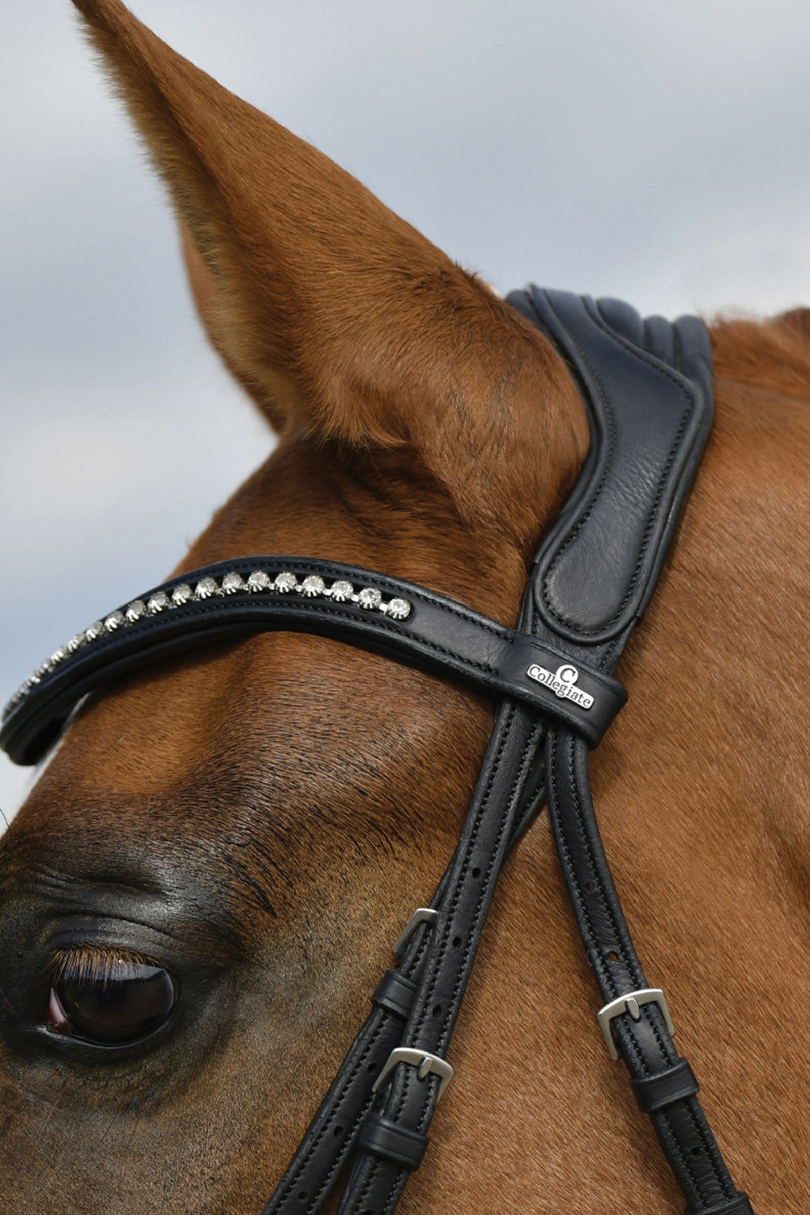 Collegiate Comfitec Opulux Padded Dressage Bridle Bridles & Reins
