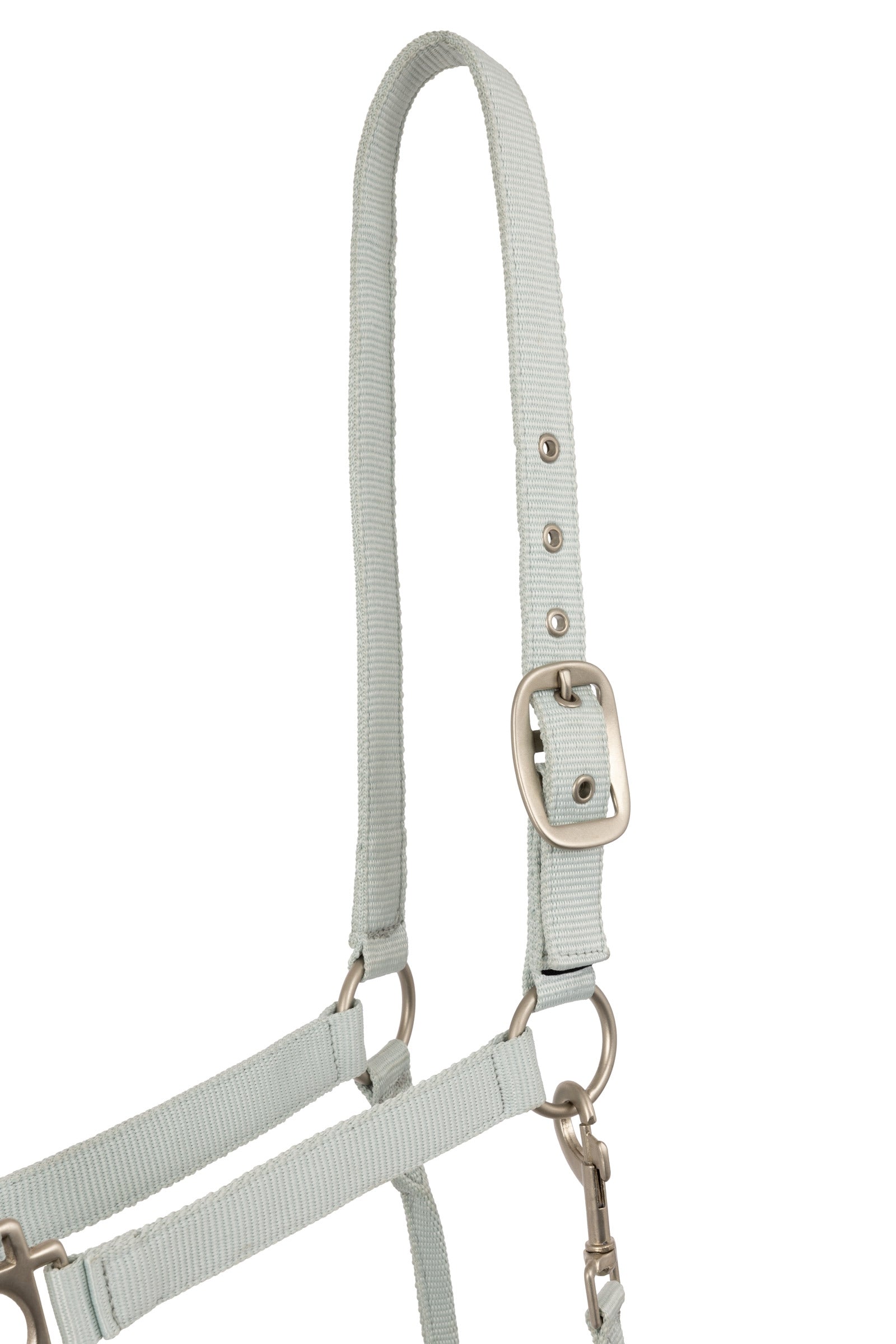 Horze Rose Tonique Halter Halters & Leads