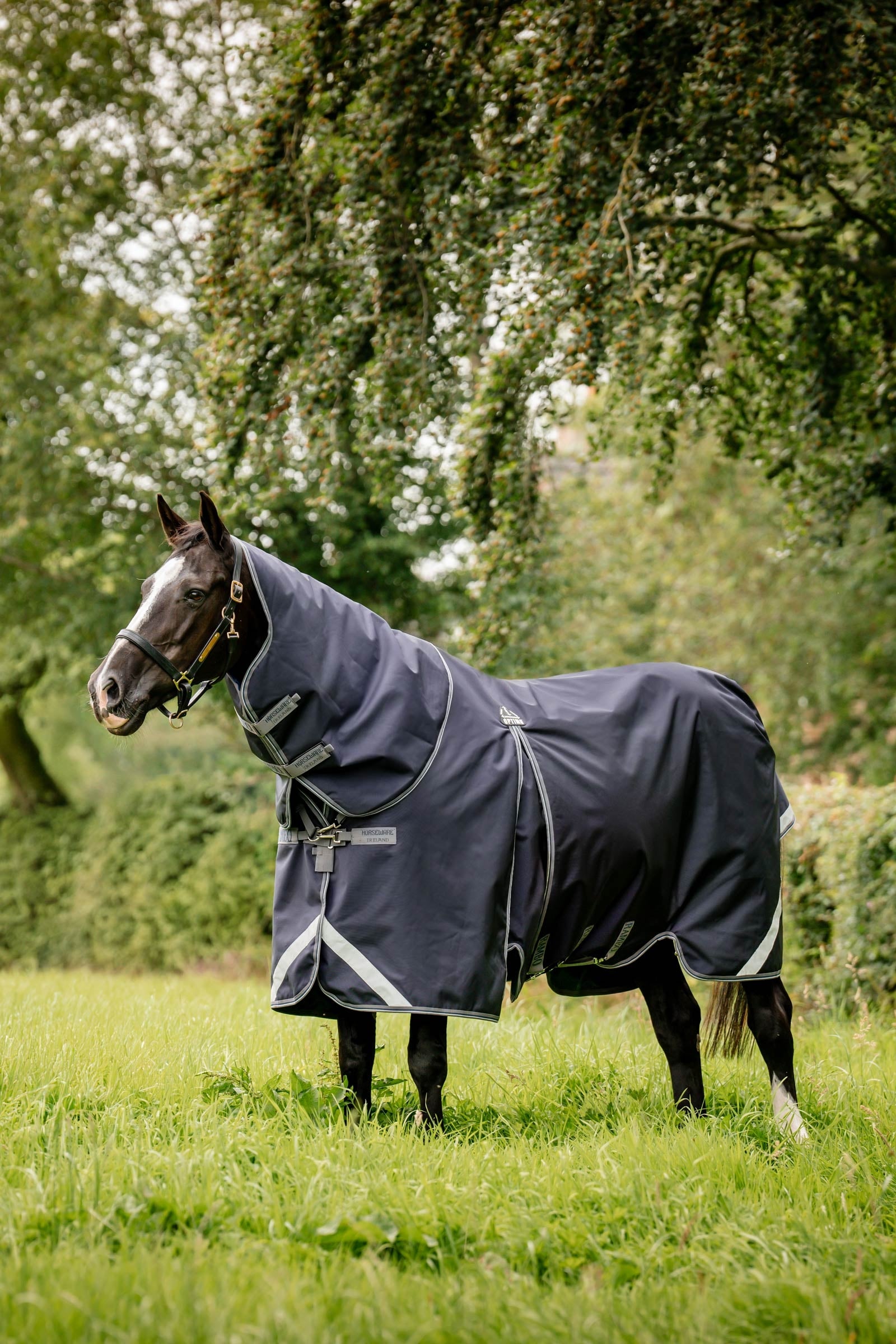 Horseware Rambo Optimo Plus Budle Coperta da Pascolo (con 200g Liner) Coperte per cavalli