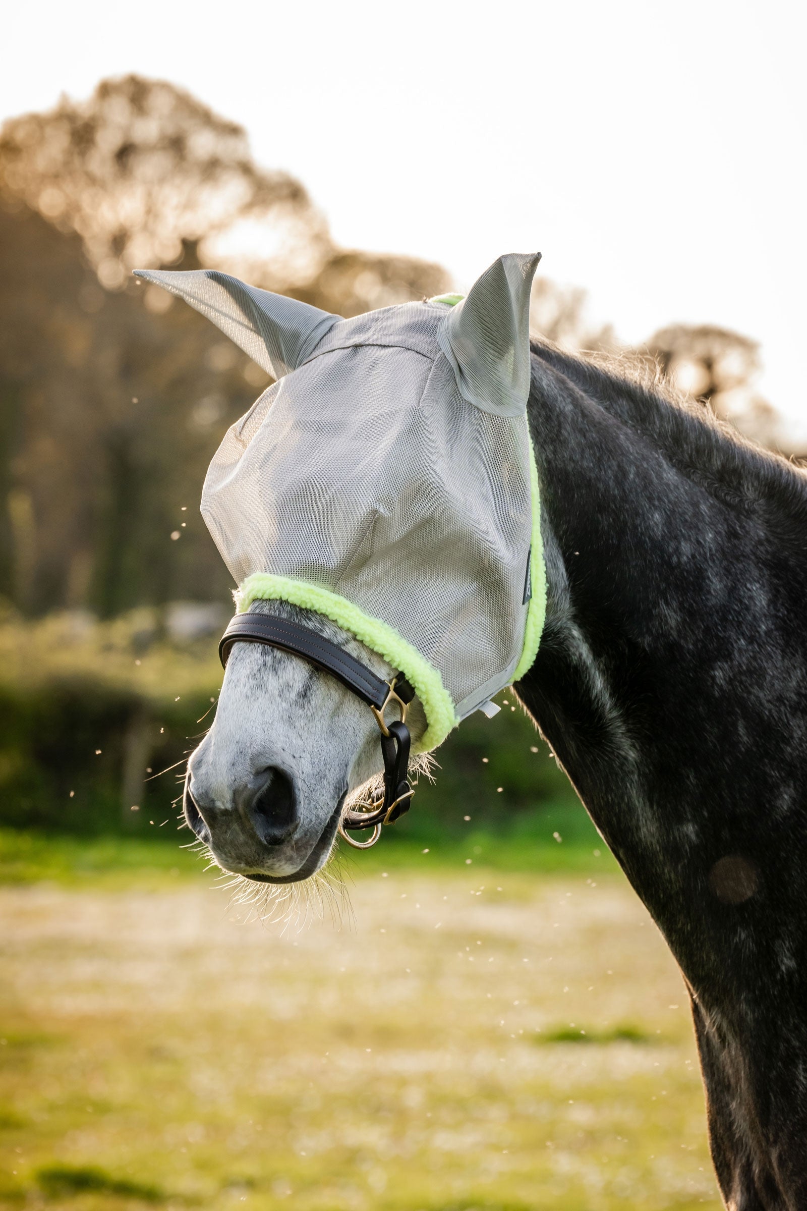Horseware Amigo Maschera antimosche Protezione antimosche per cavalli