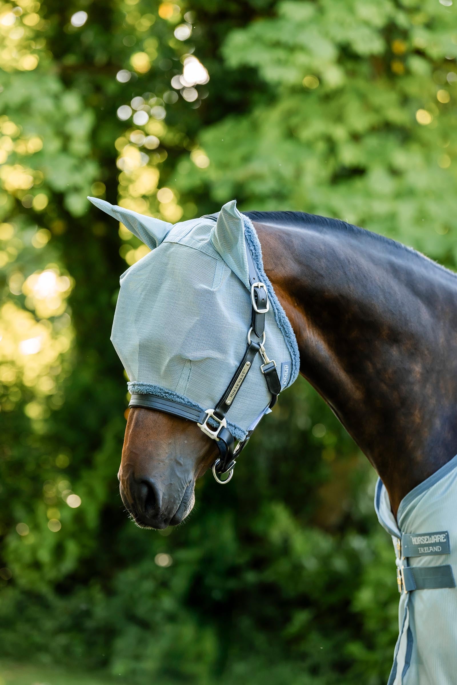 Horseware Amigo Maschera antimosche Protezione antimosche per cavalli
