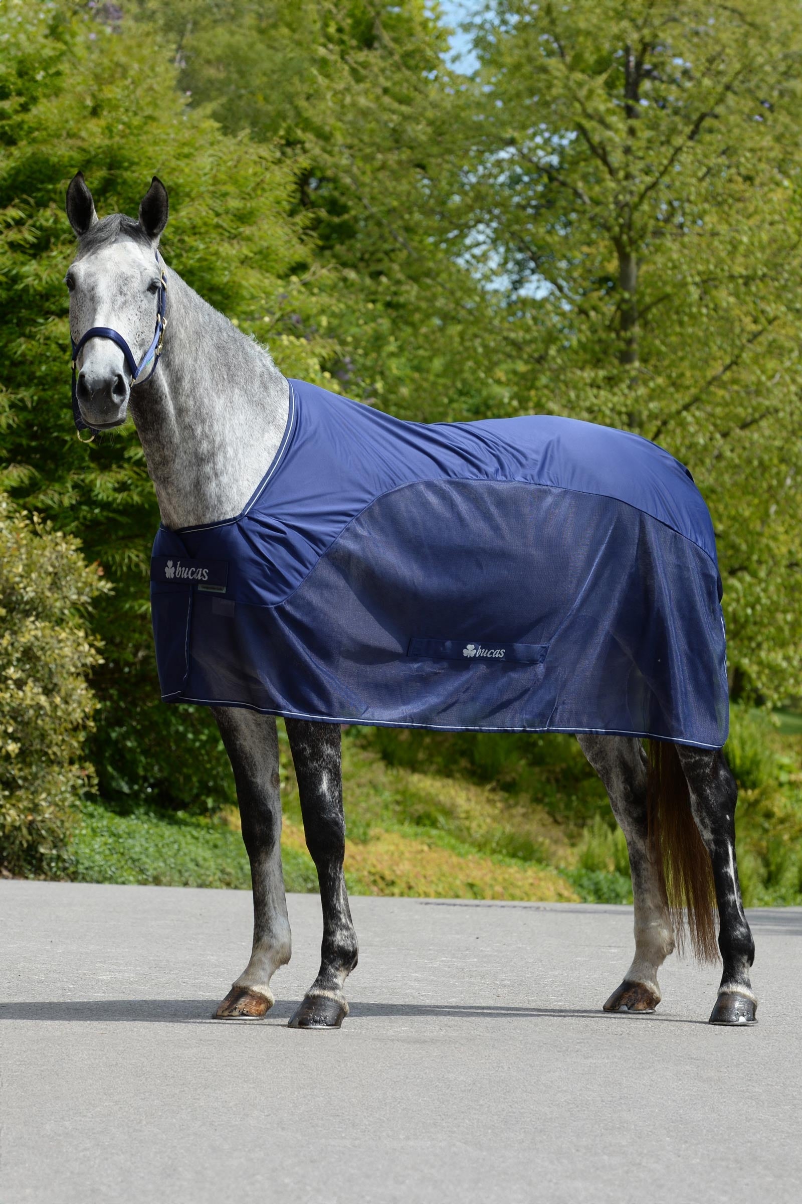 Bucas Competition Coperta raffreddante Coperte per cavalli