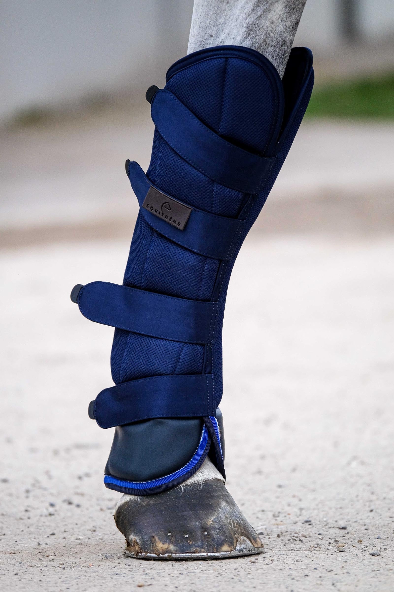 Equi Theme EQUITHÈME Classic paratendini da trasporto Leg & Hoof Protection