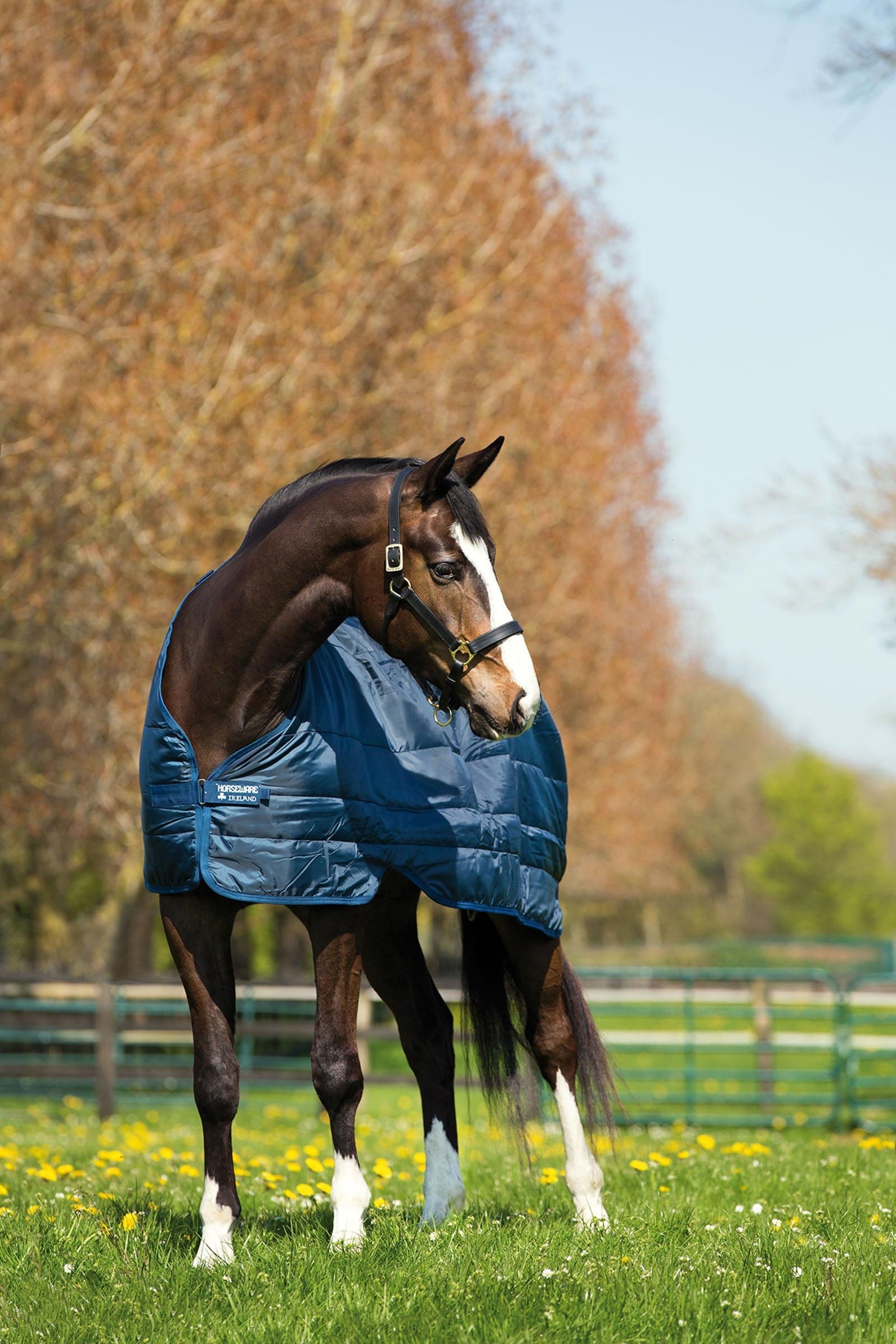 Horseware Liner sottocoperta, 100g Coperte per cavalli