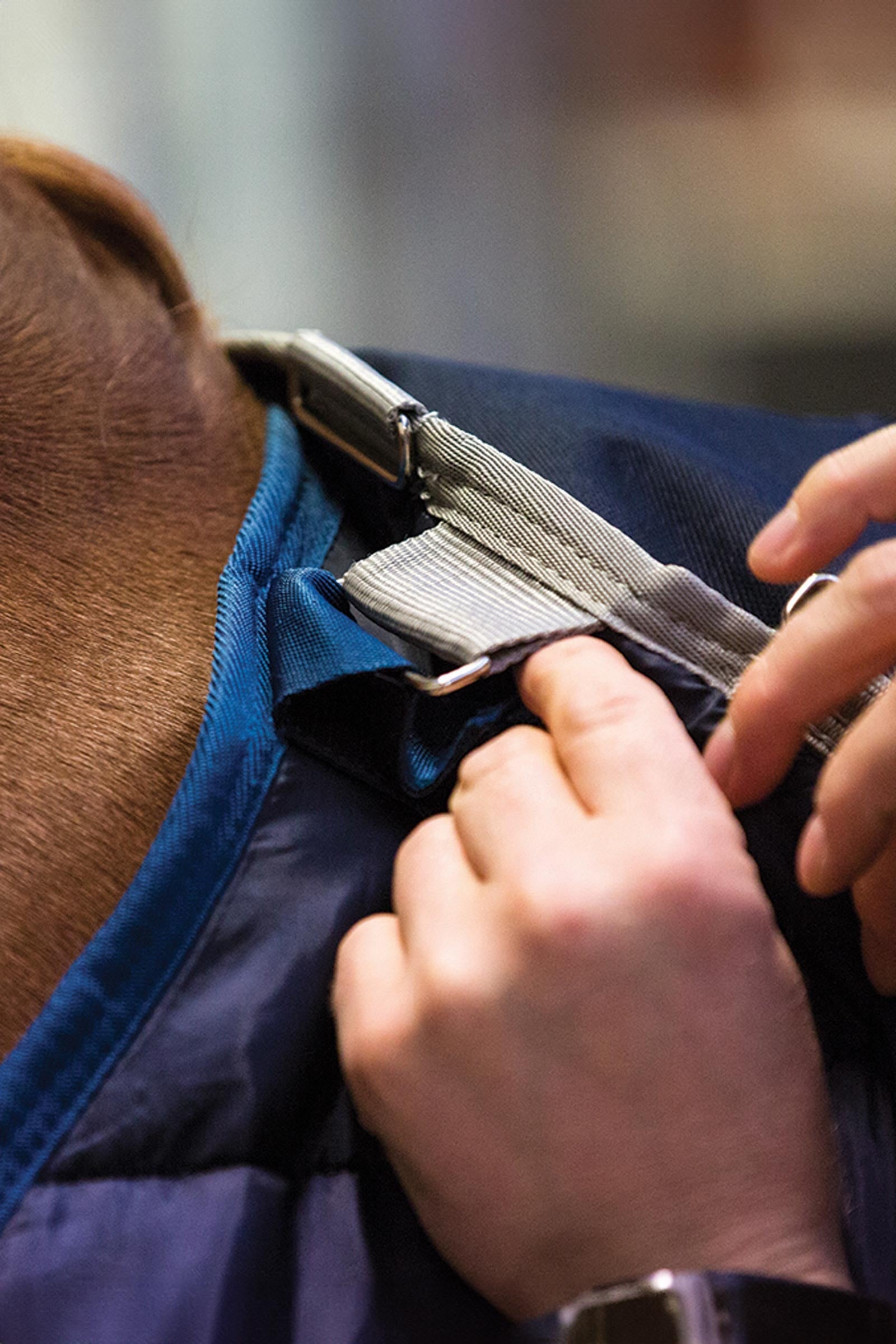 Horseware Liner Under Rug, 100g Horse Rugs