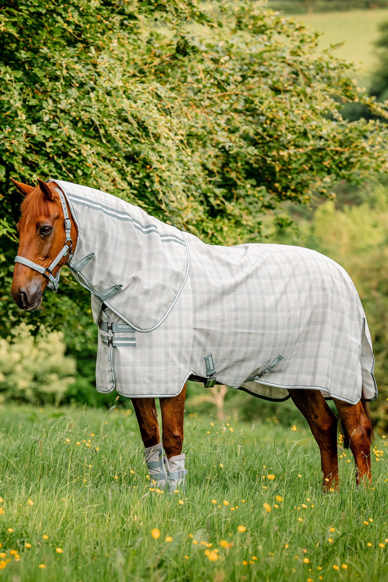 Horseware Newmarket Plus Coperta antimosche Coperte per cavalli