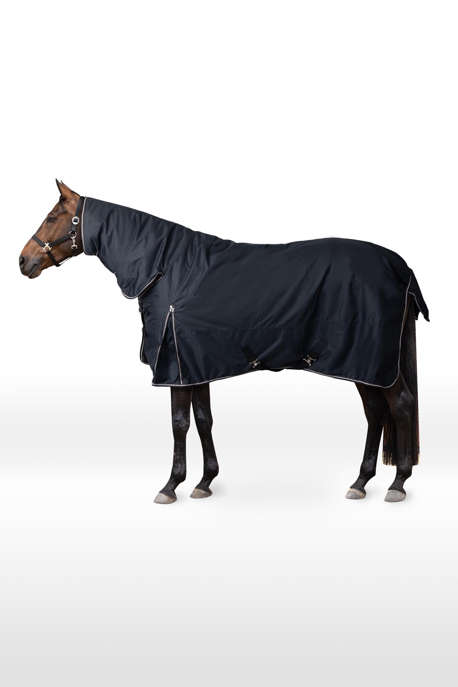 Horze Glasgow coperta da paddock con colletto fisso, 100 g Coperte per cavalli
