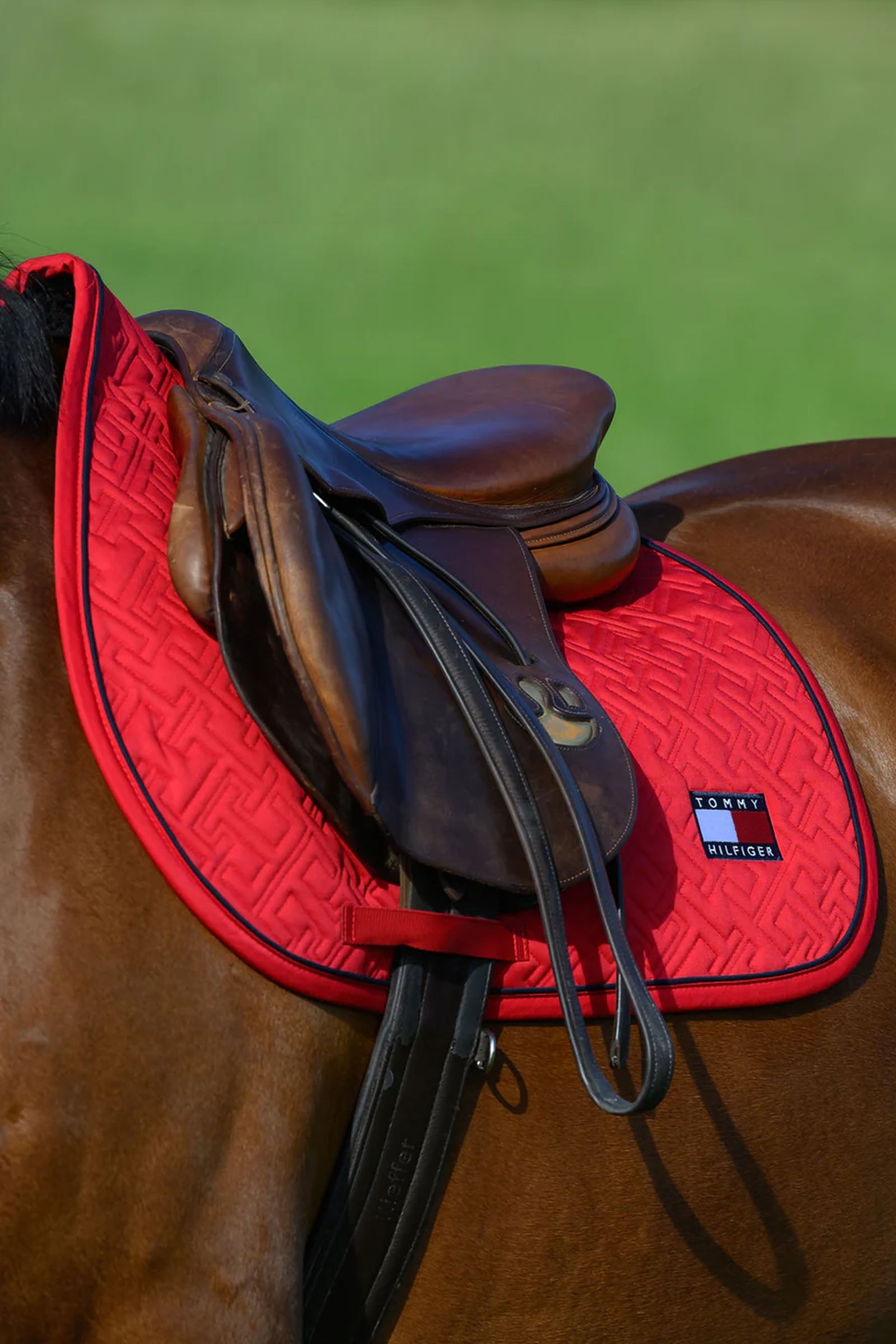 Tommy Hilfiger Equestrian Harvard Jumping Saddlepad Saddle Pads