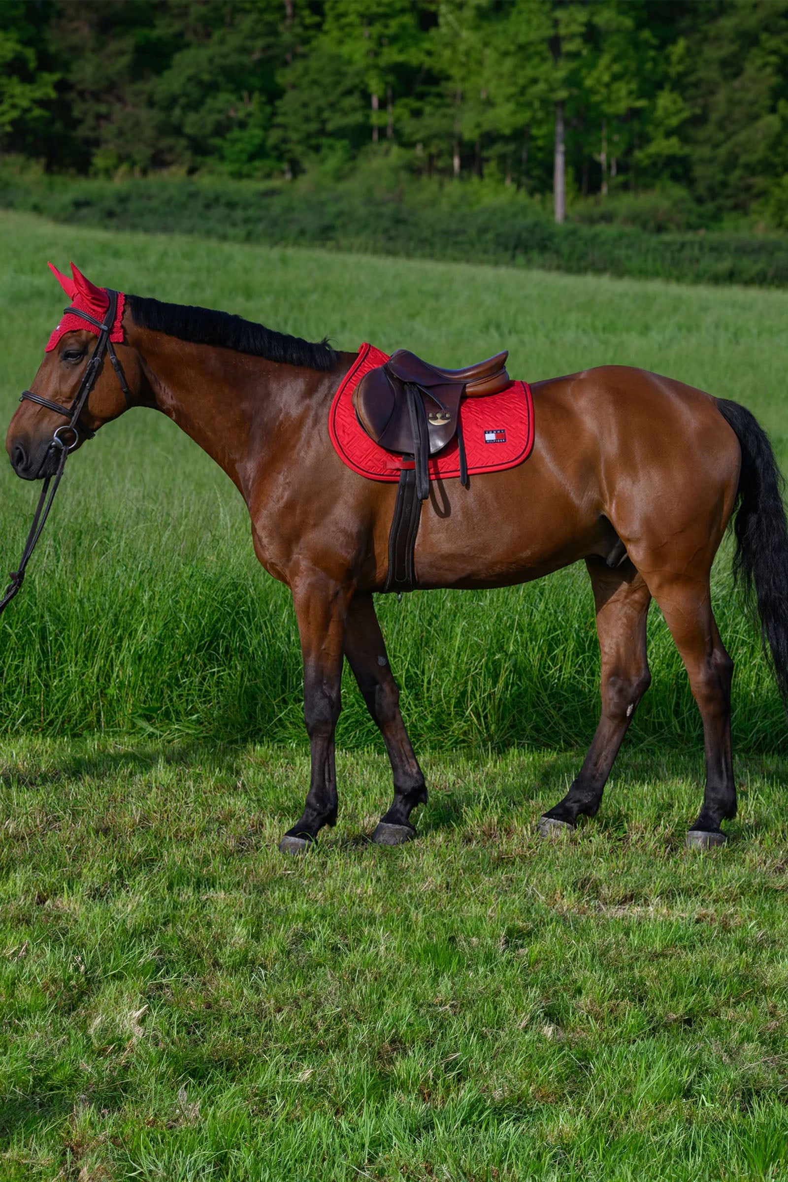 Tommy Hilfiger Equestrian Harvard Jumping Saddlepad Saddle Pads