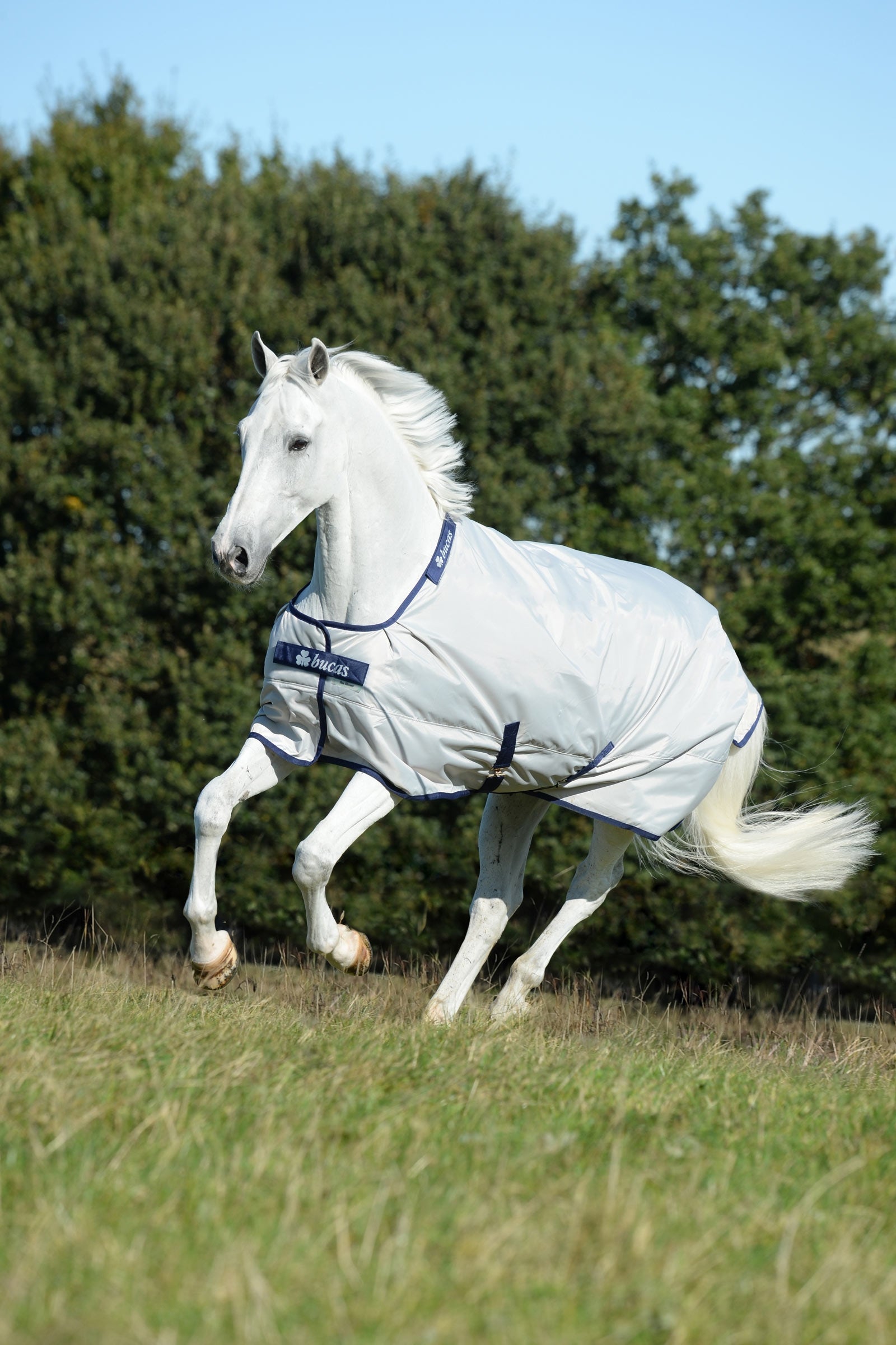 Bucas Sun Shower coperta da turnout, 0g Coperte per cavalli