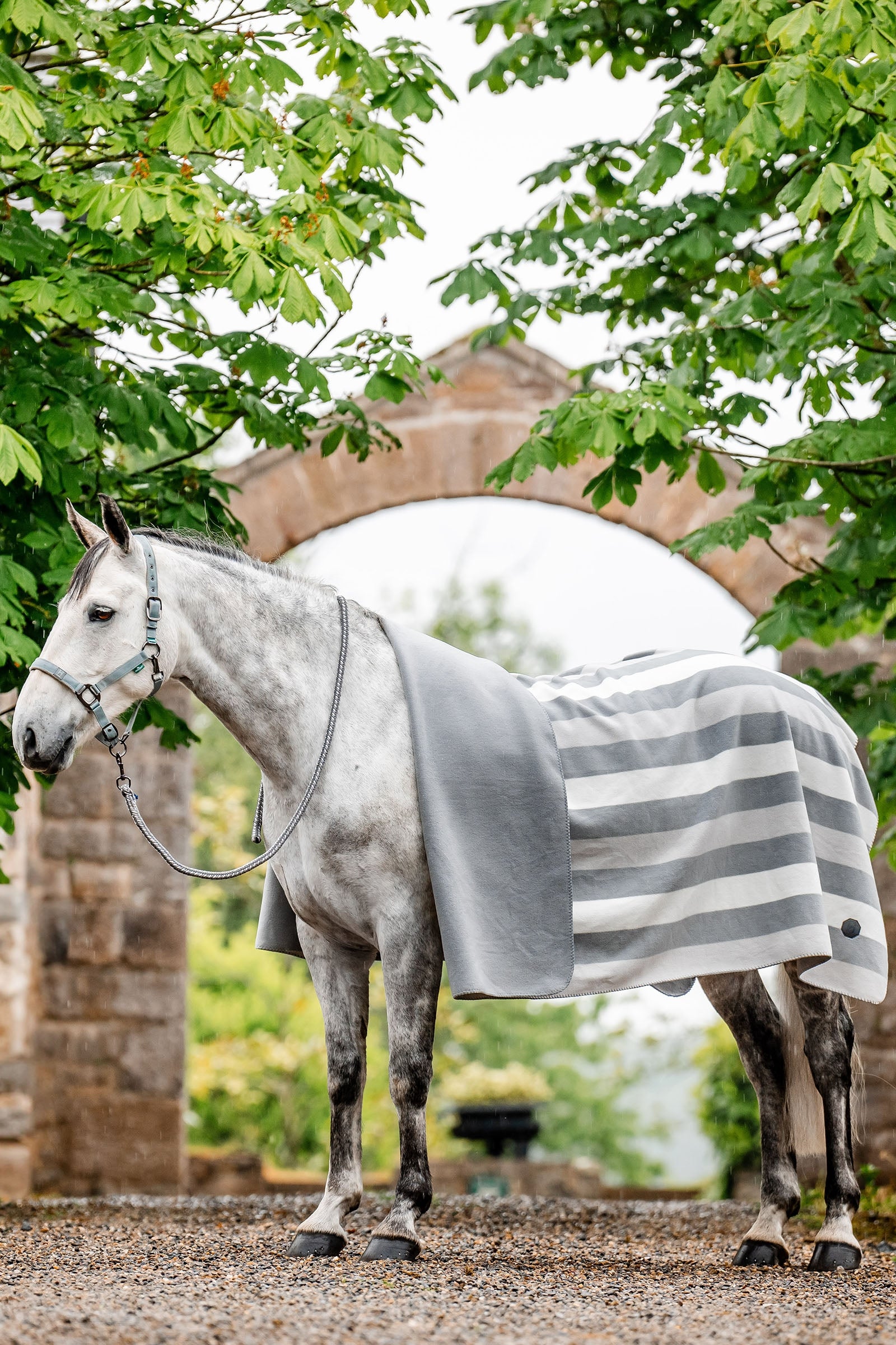 Horseware Newmarket Fleece Coperta antisudore (Square) Coperte per cavalli