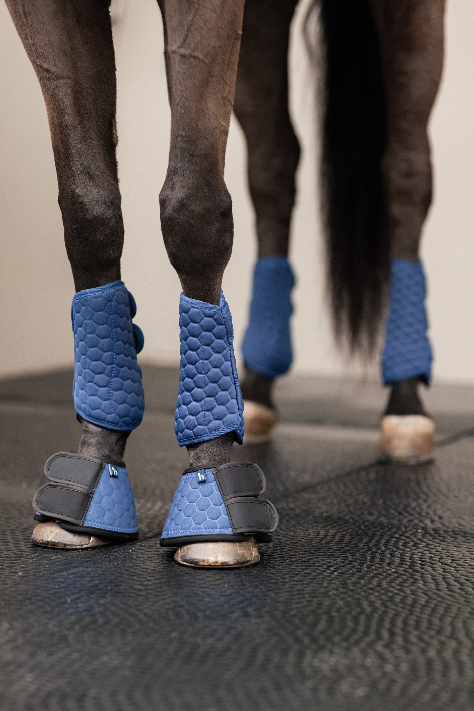 Horze Urban Vitality Brushing boots Leg & Hoof Protection