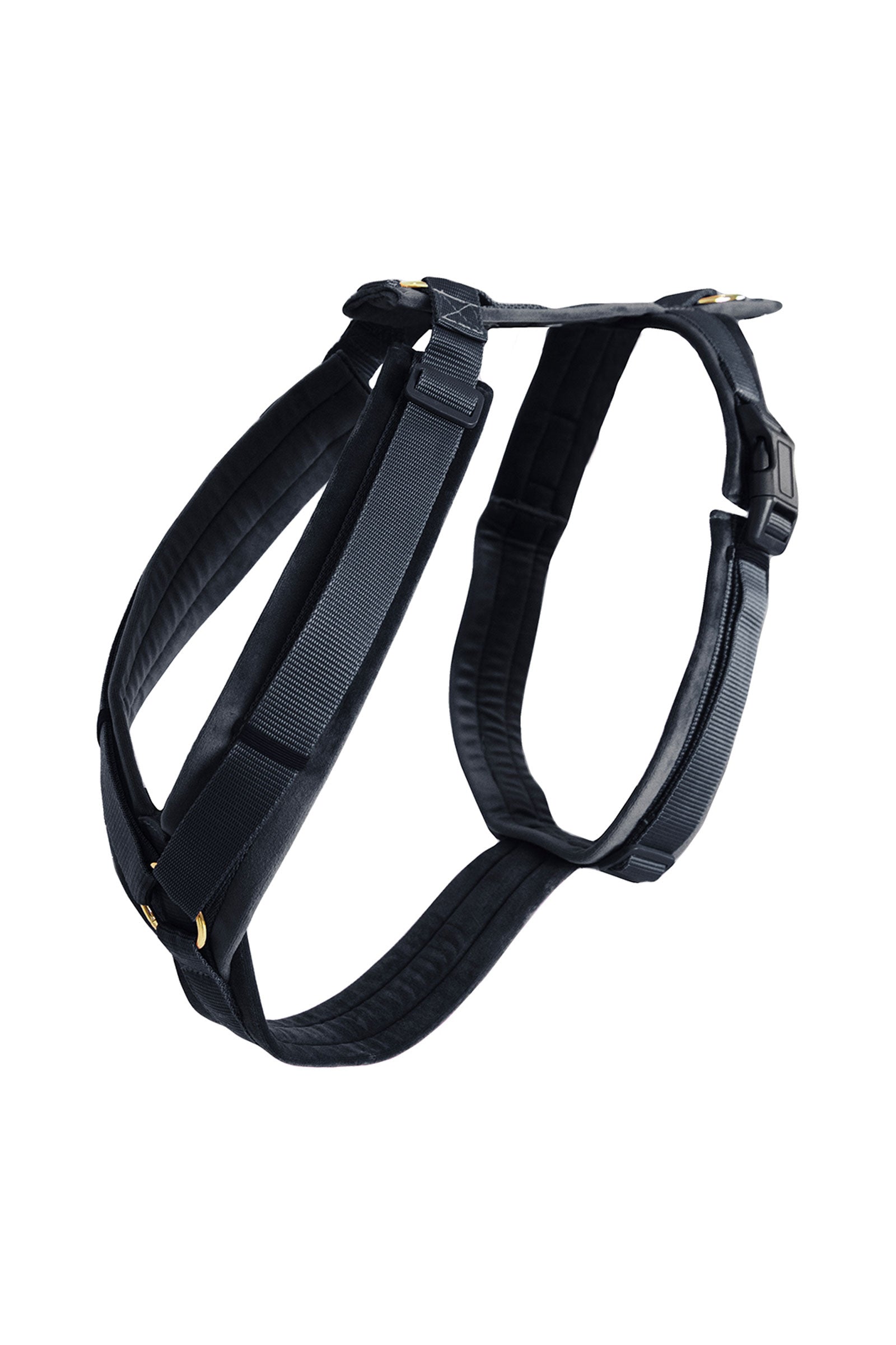 Kentucky Dogwear Active Velvet Pettorina Cane