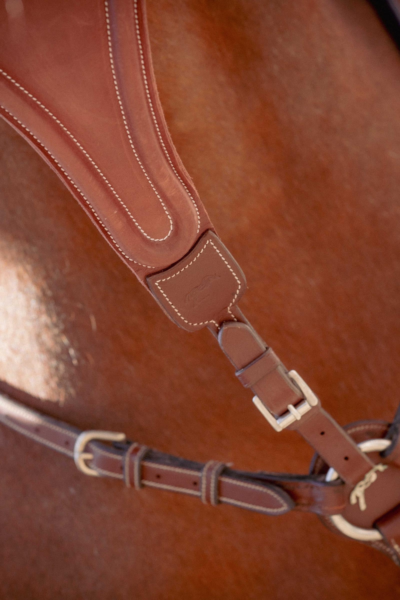 PENELOPE Bip Flap Martingale Fork, Elastic Bridles & Reins