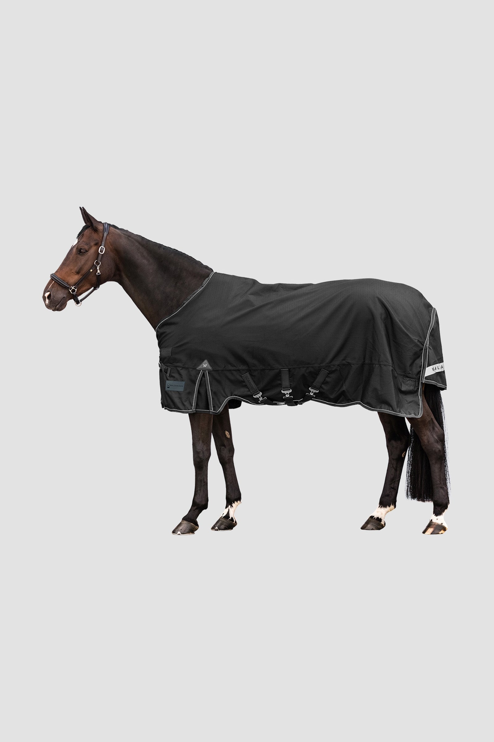 Waldhausen Outdoor Rug Scandic 50g Coperte per cavalli