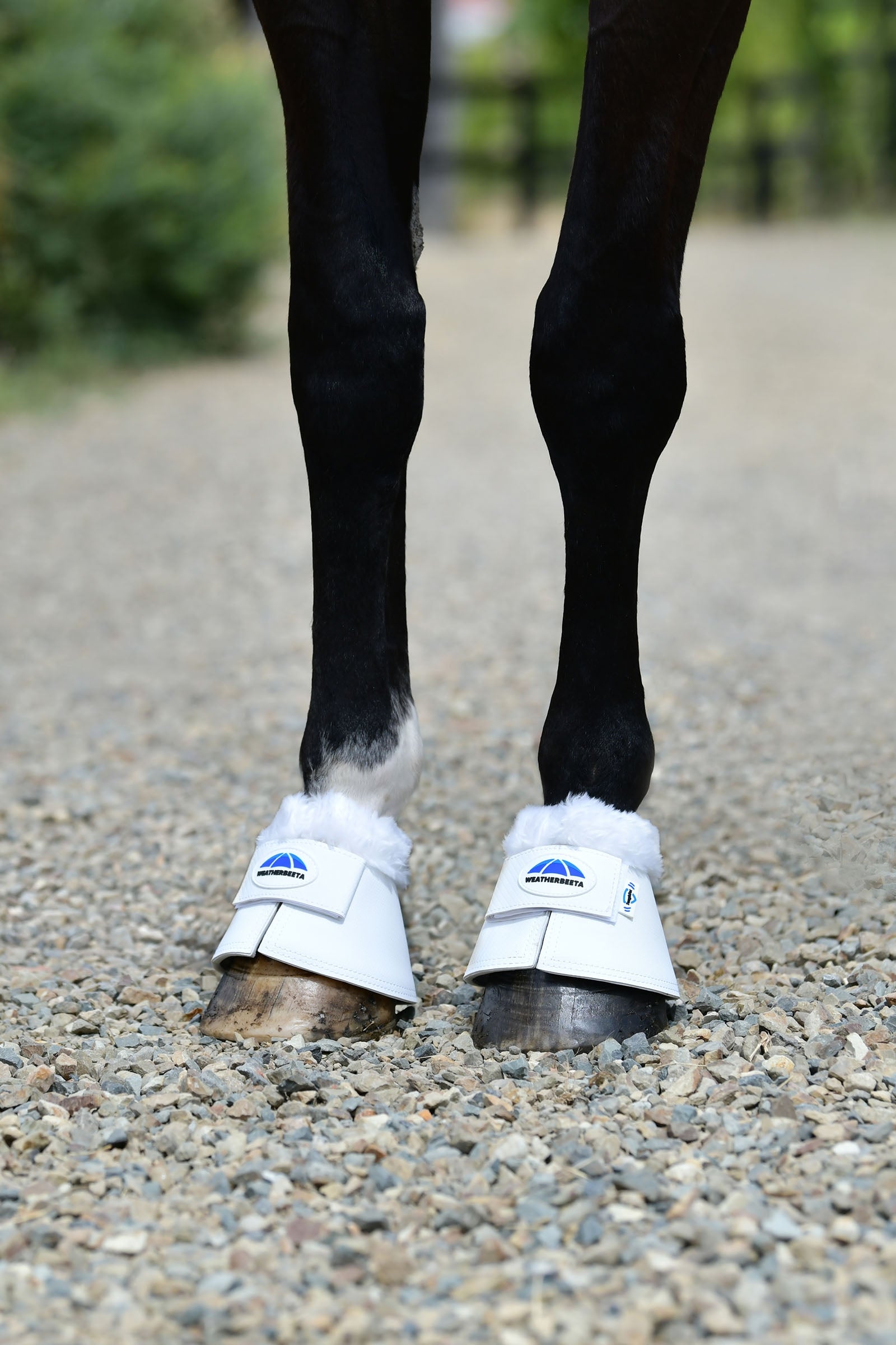 Weatherbeeta Tough-Tec Fleece Trim Bell Boots Leg & Hoof Protection