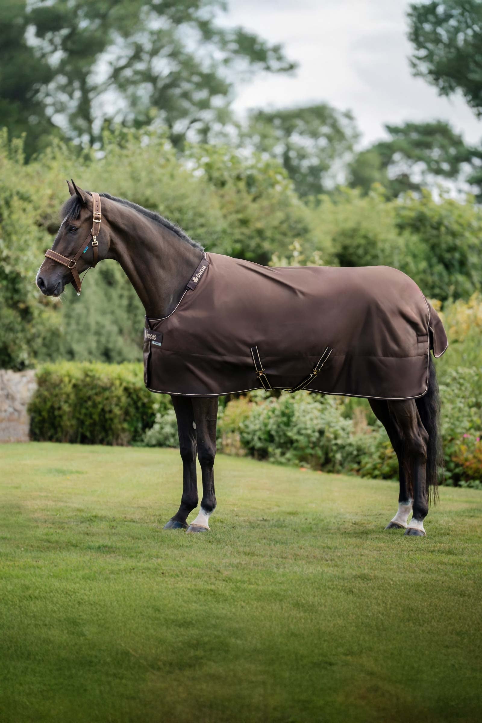 Bucas Irish Turnout Rug, 300 g & Neck Set Coperte per cavalli