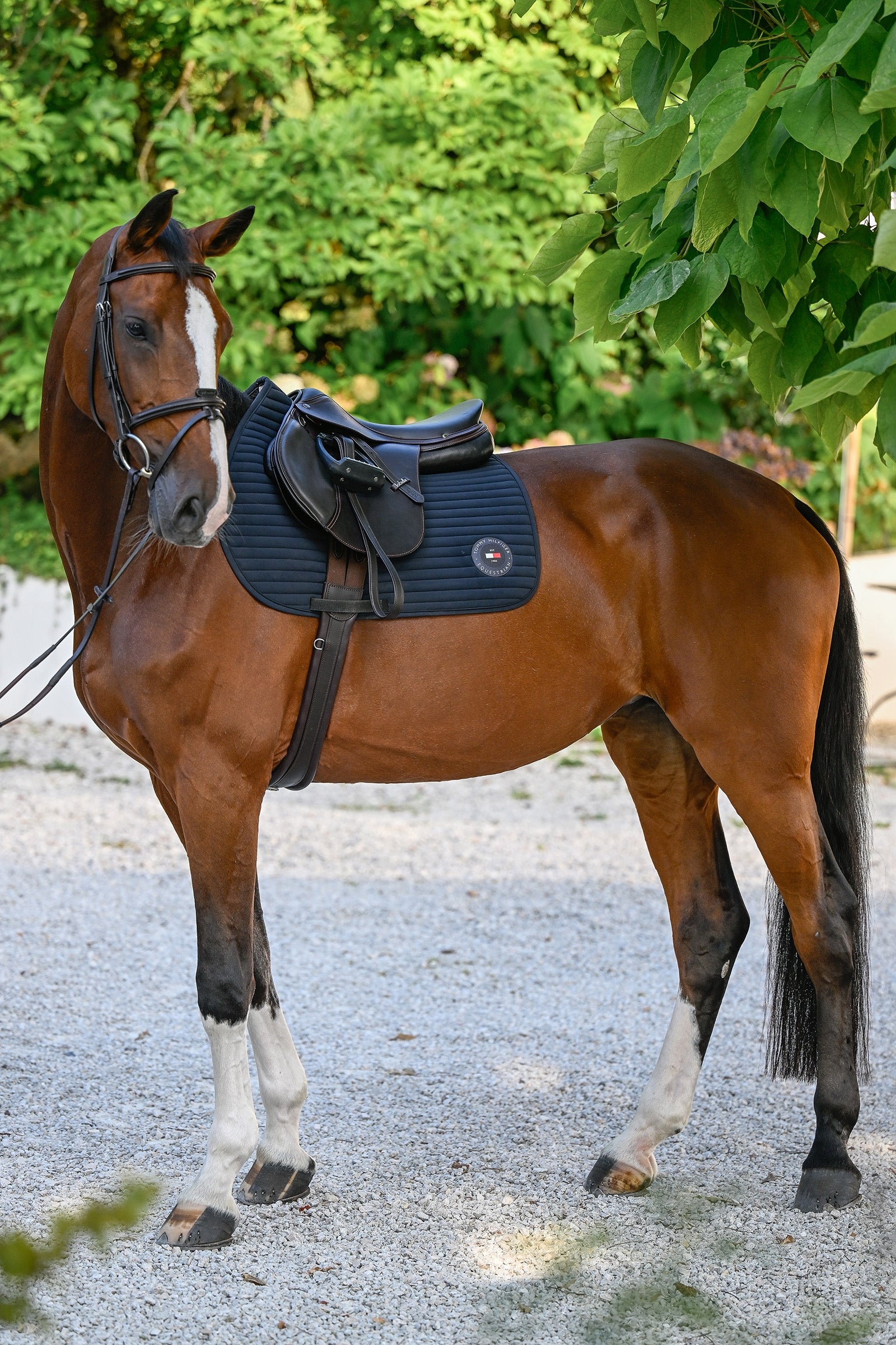 Tommy Hilfiger Equestrian Upstate Jumping Saddle Pad Saddle Pads