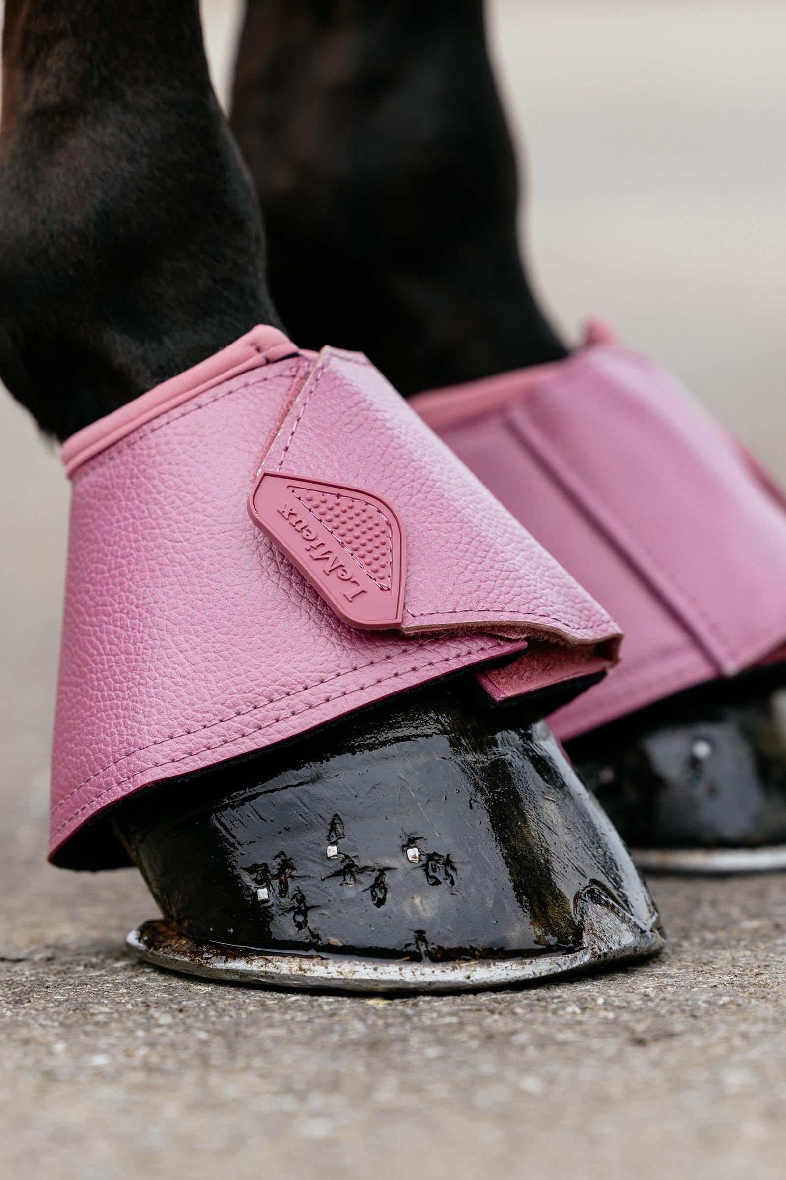 LeMieux Arika Over Reach Boots Leg Protection & Hoof Protection for Horses