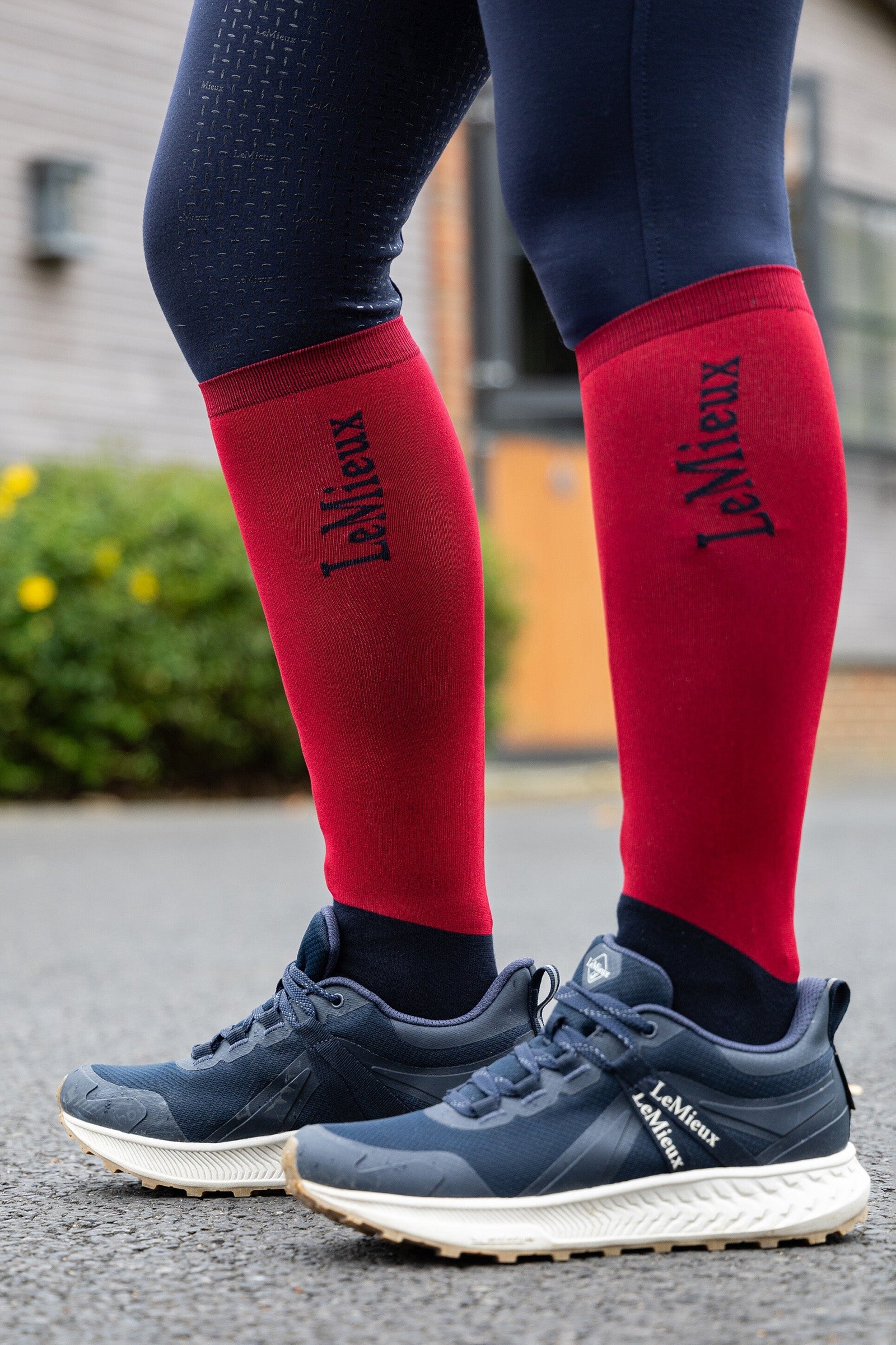 LeMieux Competition Socks (2 pairs) Socks