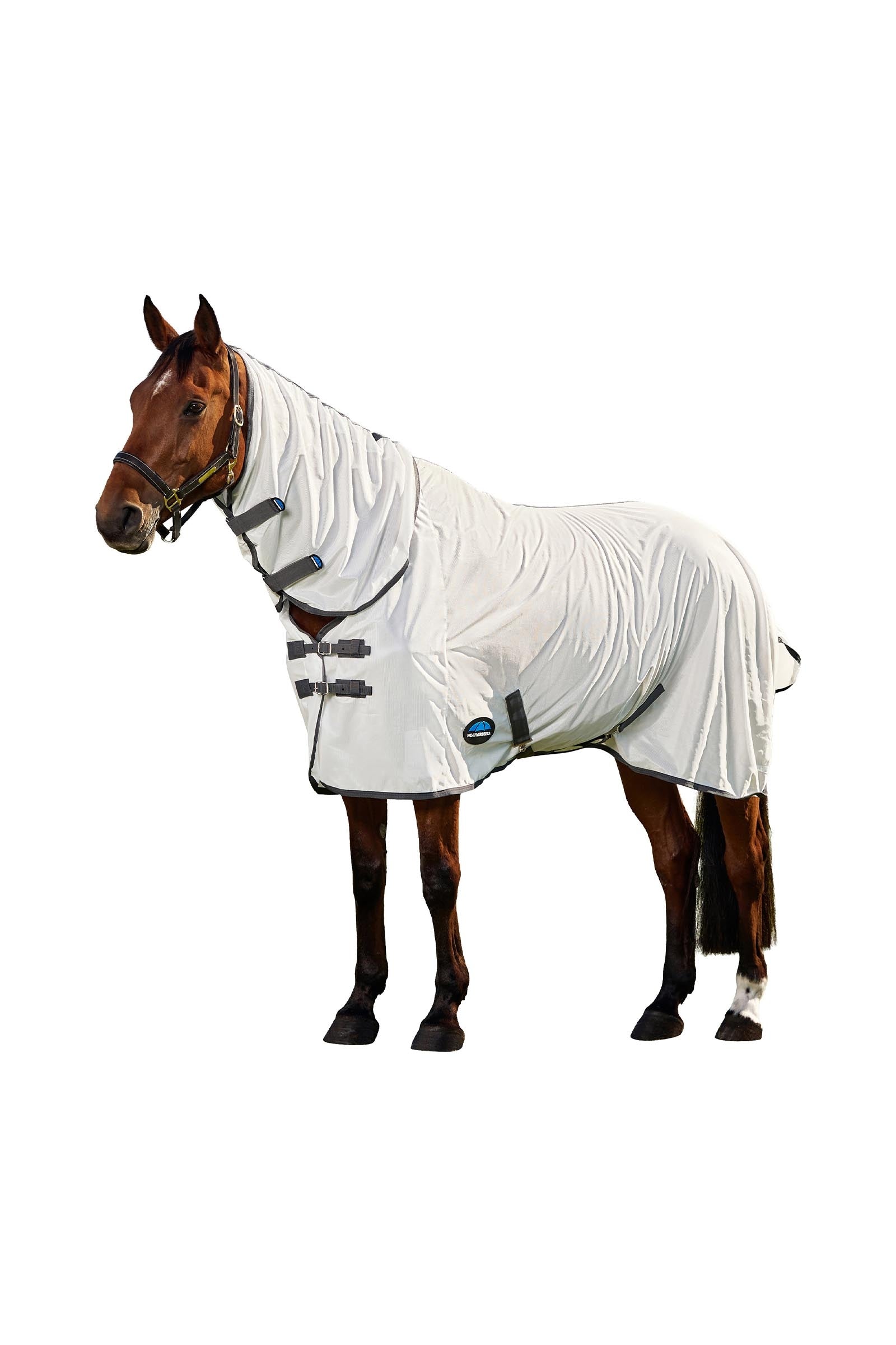 Weatherbeeta ComFiTec Tyro Coperta antimosche combo con collo fisso, 0 g Coperte per cavalli