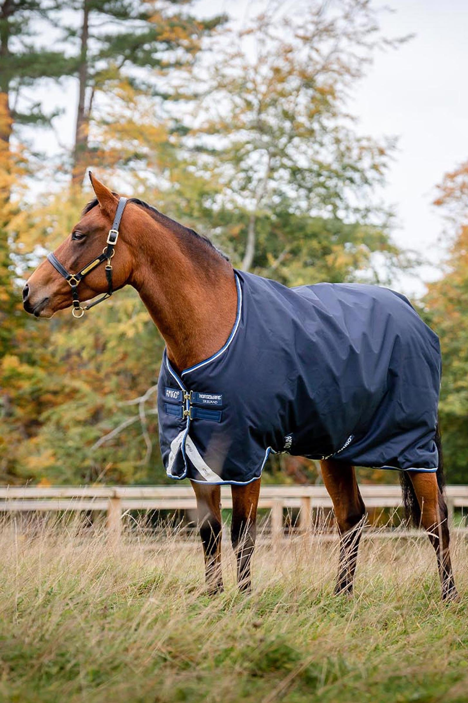 Horseware Amigo Bravo 12 Original coperta da turnout, 250g Coperte per cavalli