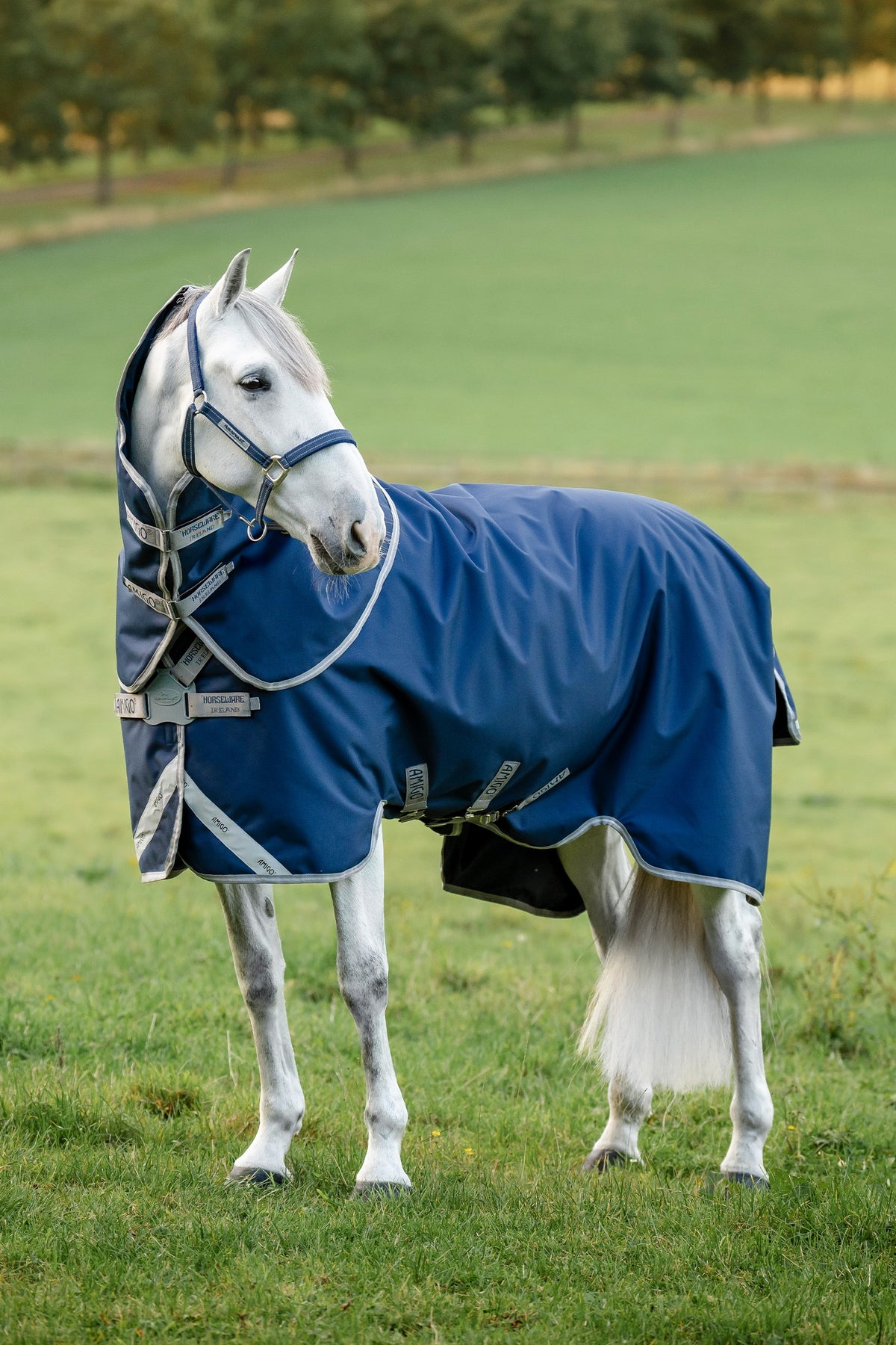 Horseware Amigo 1200D FieldSafe Plus coperta da paddock con copricollo staccabile, 50 g Coperte per cavalli