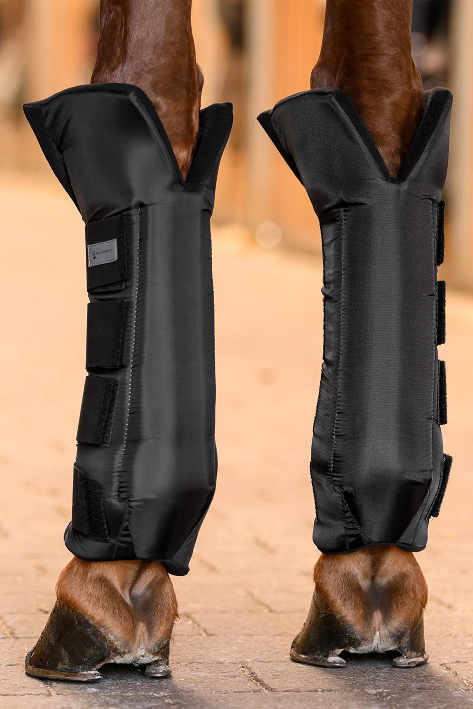 Waldhausen Stable & Transport Boots with Joint Support, front Leg & Hoof Protection