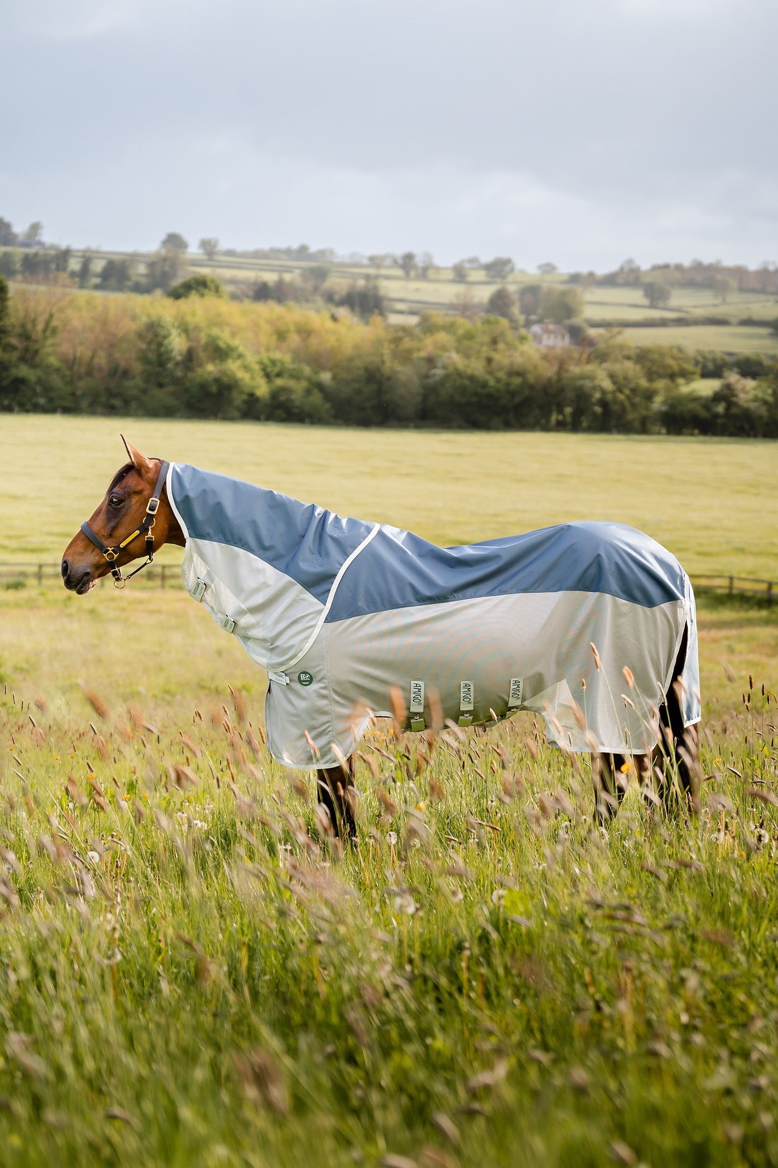 Horseware Amigo AmEco Combi Fly Rug Horse Rugs