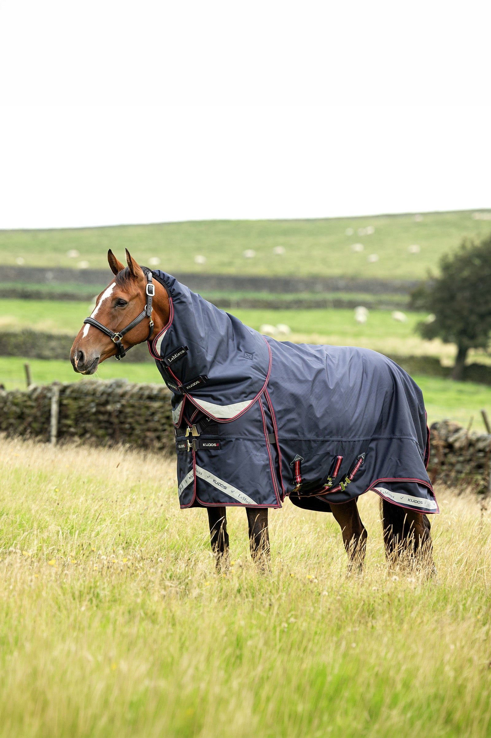 LeMieux Kudos Thermo Layer Turnout Rug, 300 g Horse Rugs