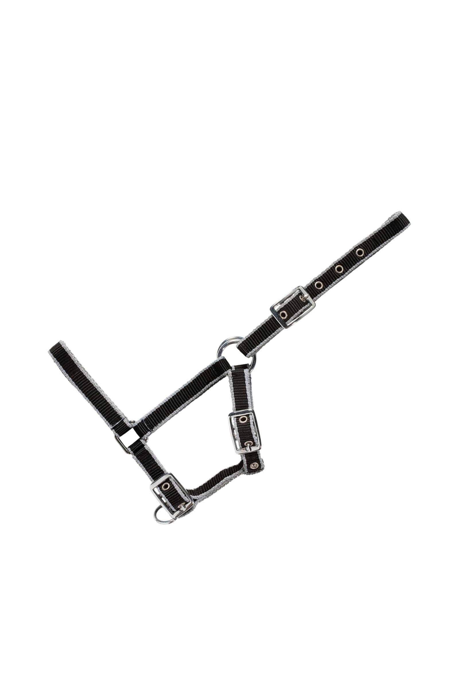 USG Adjustable Foal Halter Cavezze e guinsagli