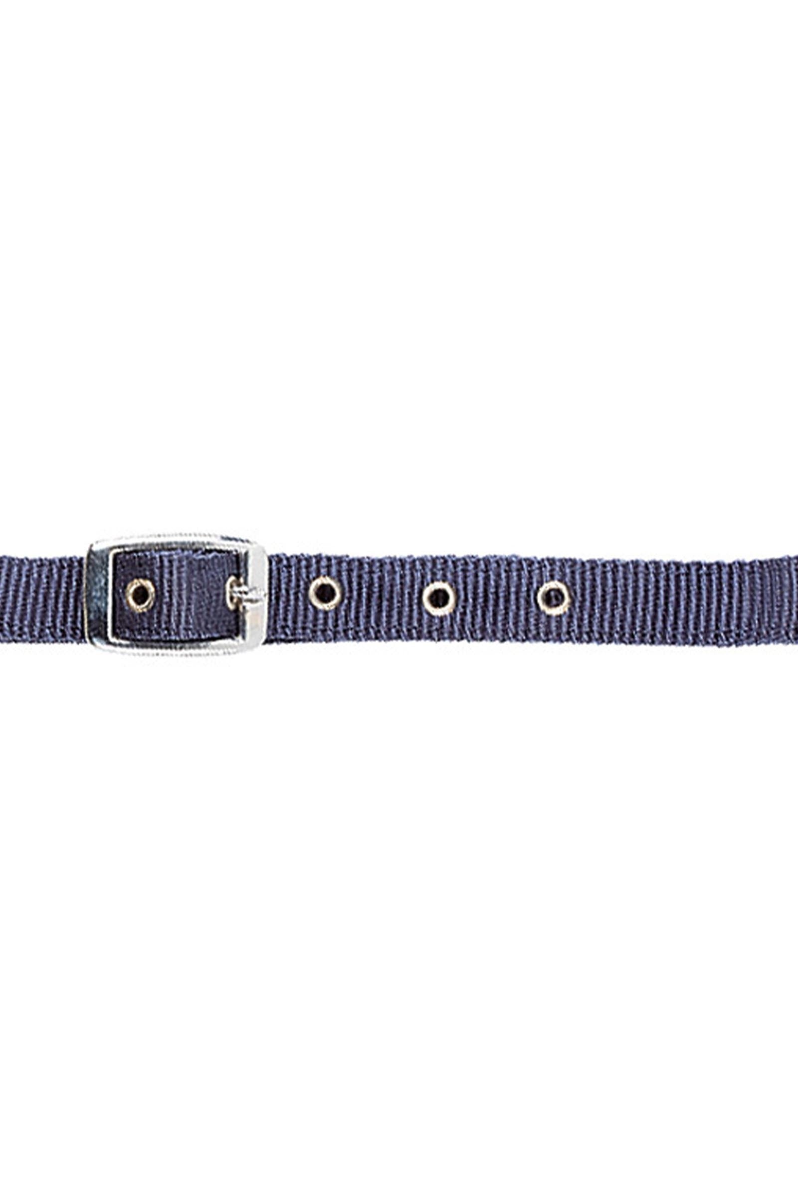 USG Adjustable Foal Halter Cavezze e guinsagli